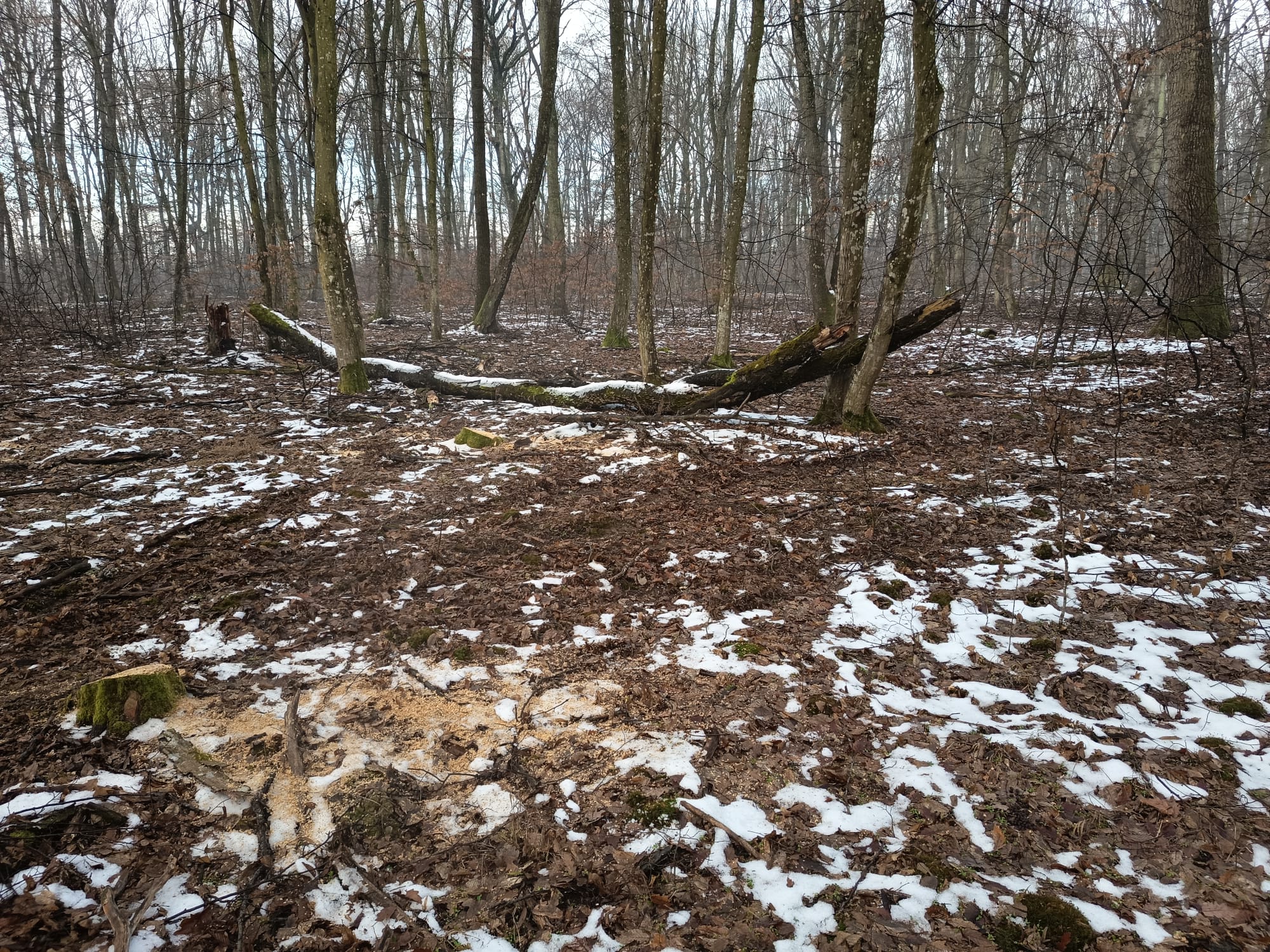 bd15579d-4e86-45f5-b2a5-c590fbb625bd