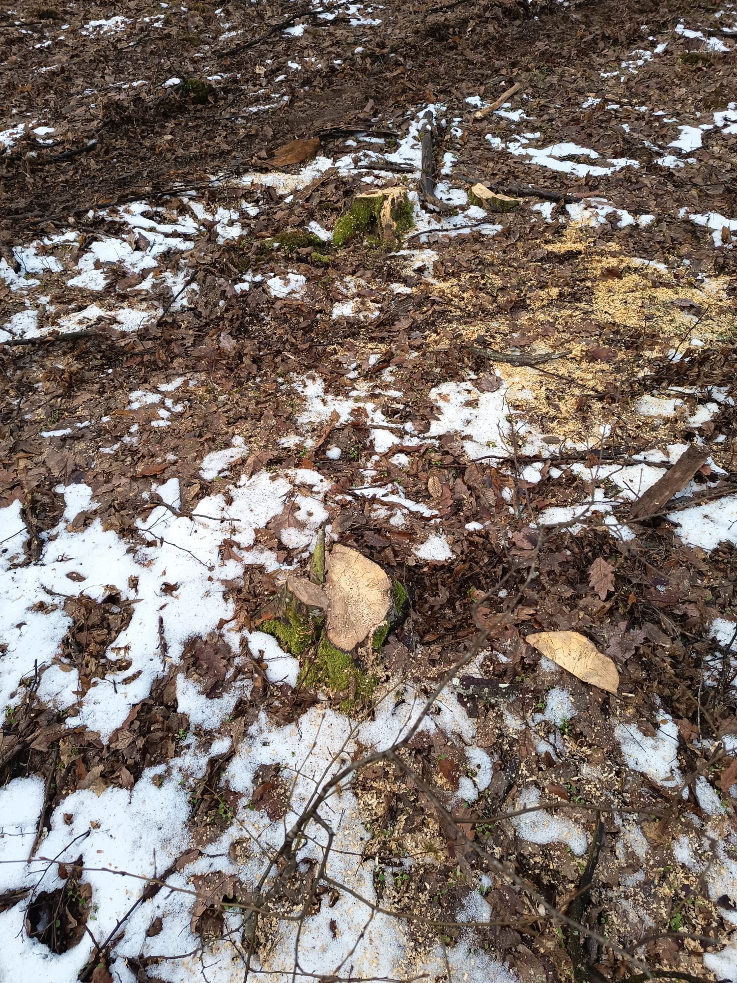 c22e3dc6-6787-4c6b-8b4c-a08a0e11d106