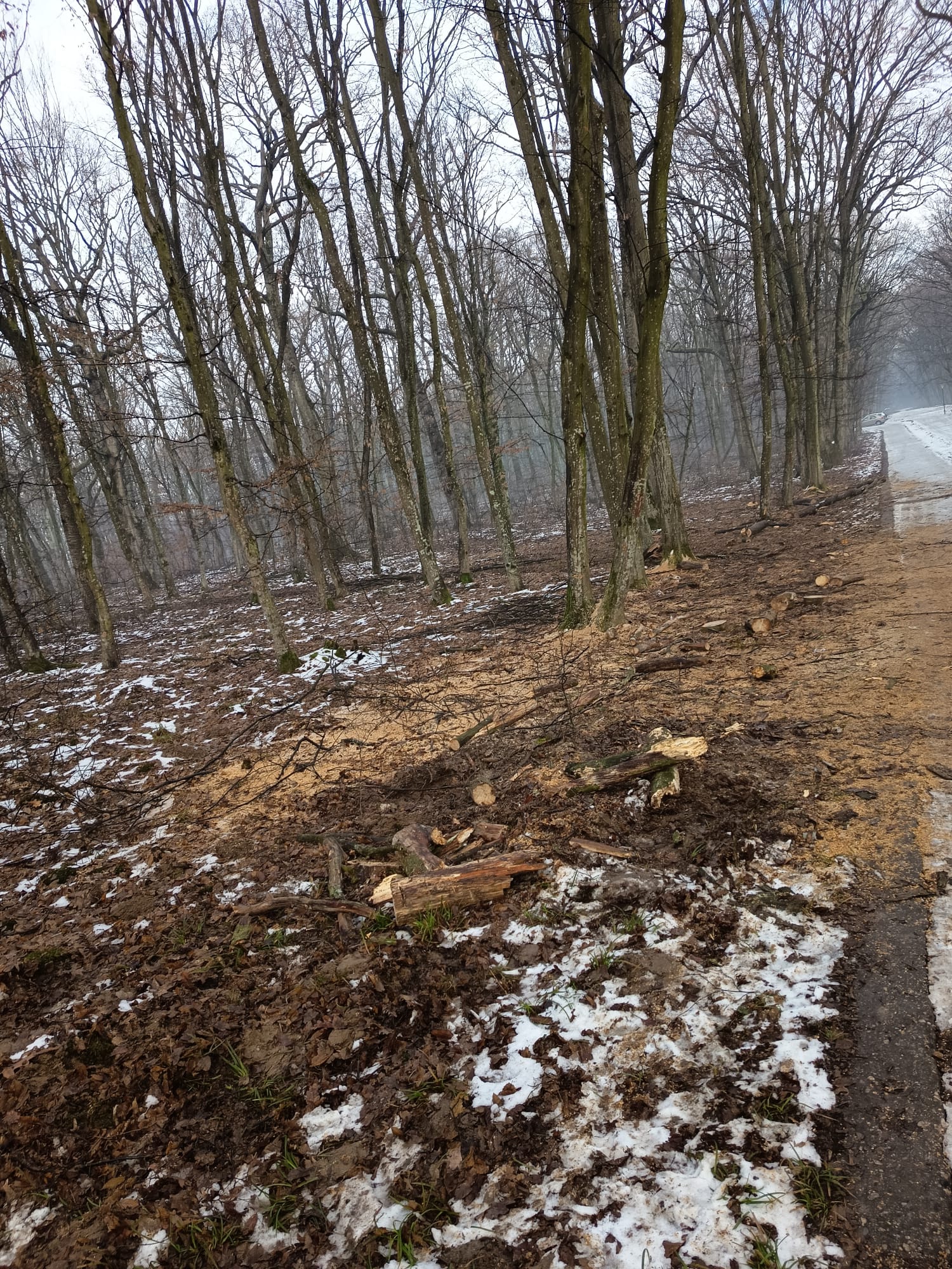 d95558c6-e918-4811-8a08-1b0ac3187190