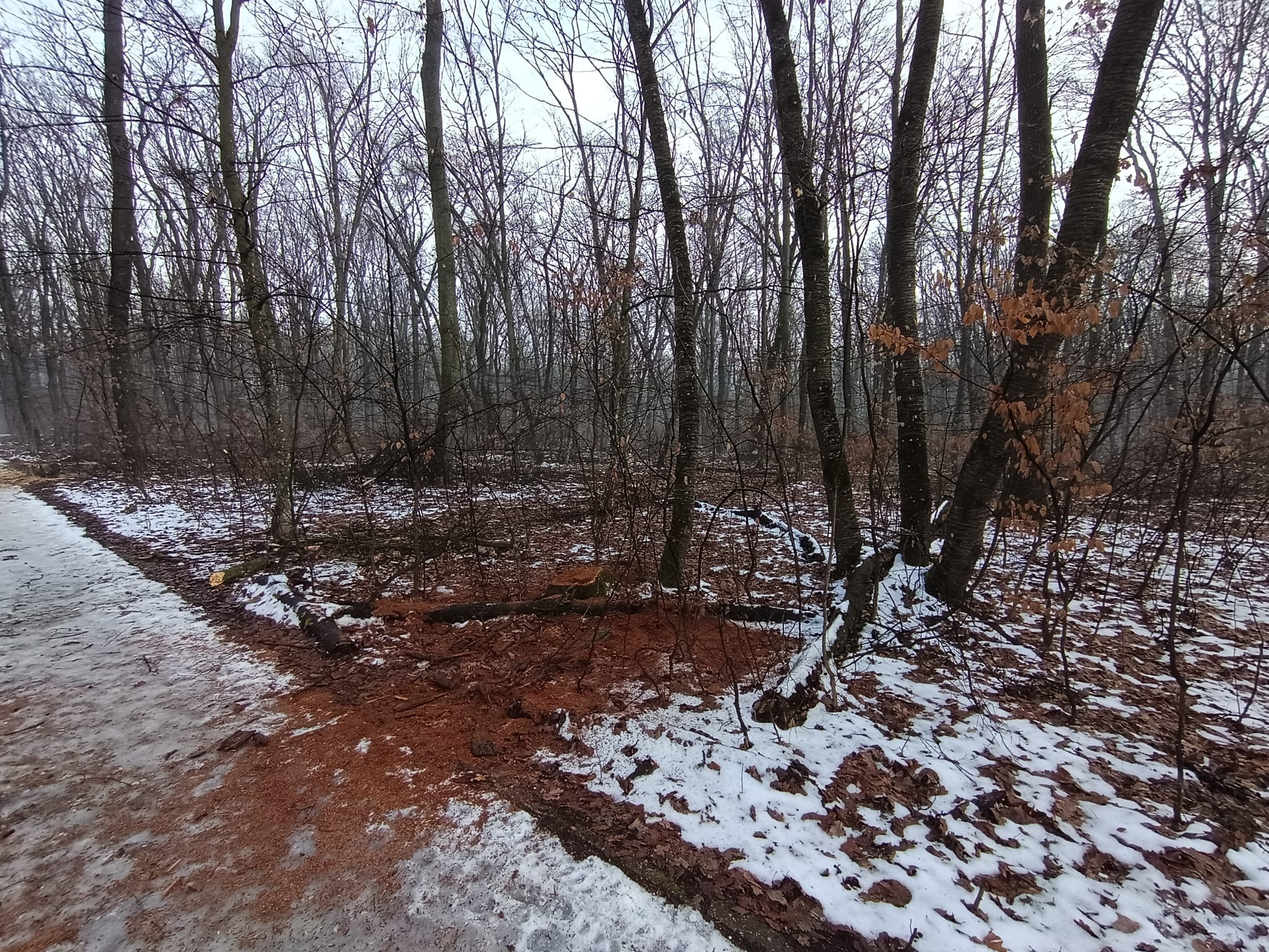 e6dc6bfd-a4cc-43df-aee2-ccd0c199eaf7