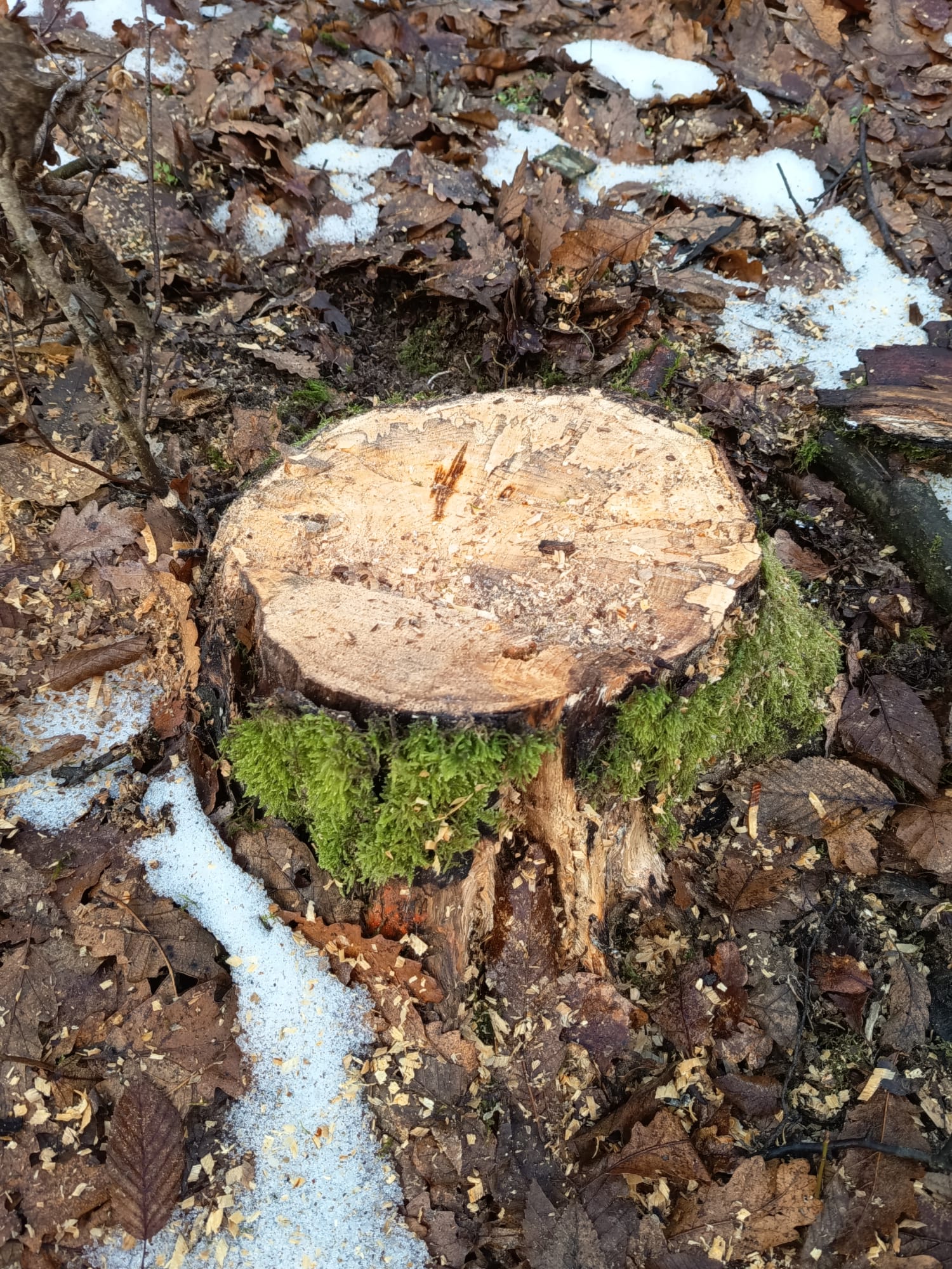 289c5cdc-089e-48f5-ba29-5eedeba47878