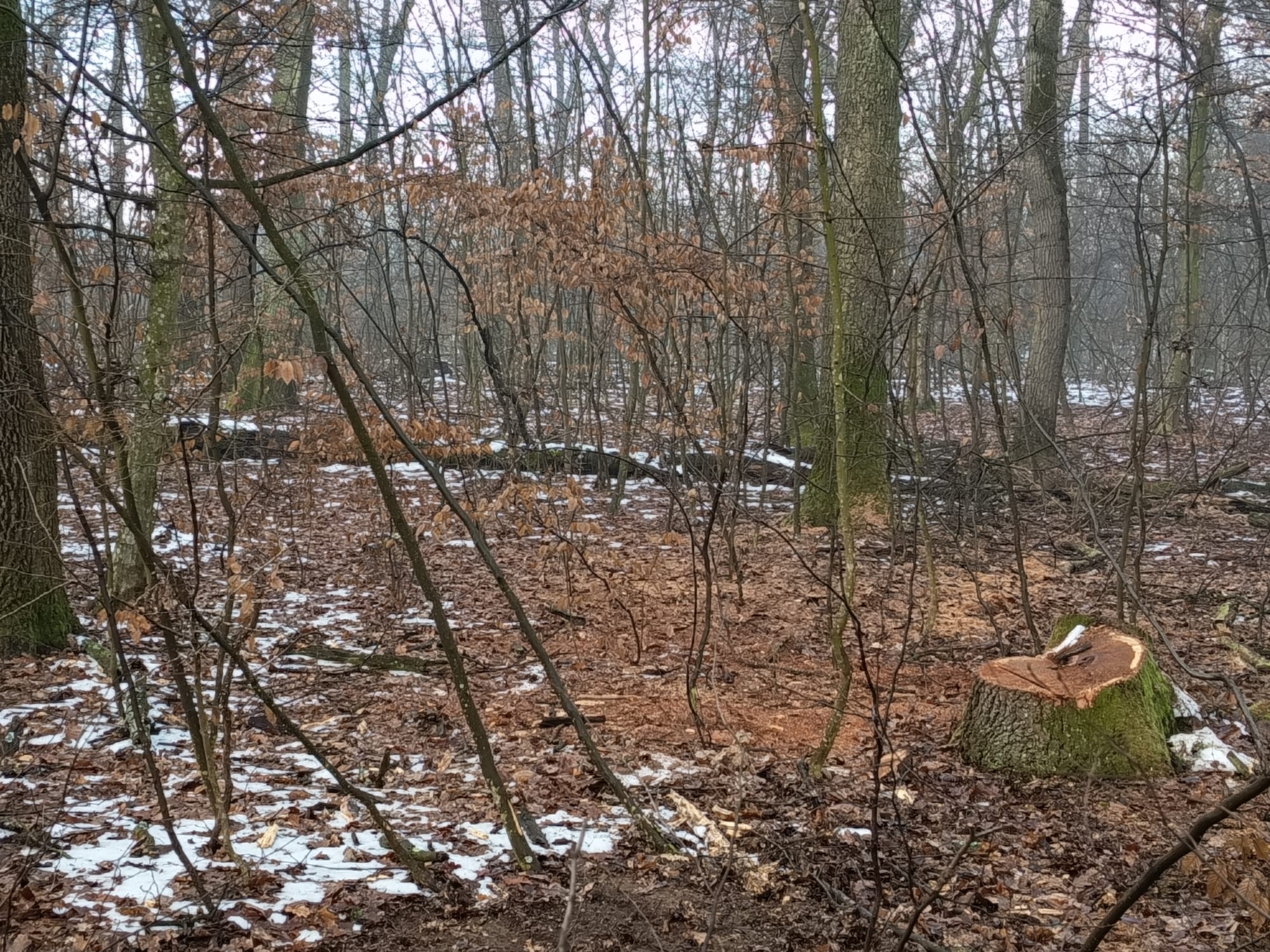 95e72802-5ace-4e8b-bc47-bd324106d2a3