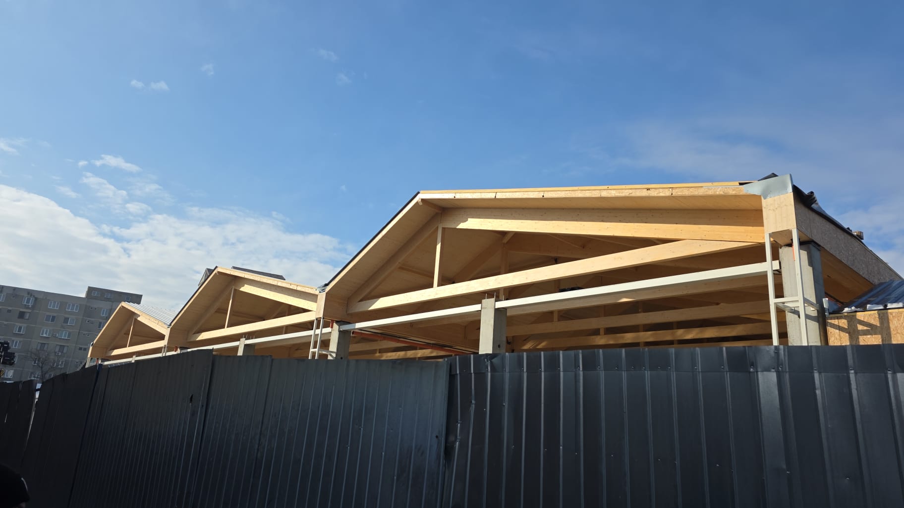 WhatsApp Image 2026-01-23 at 11.56.28