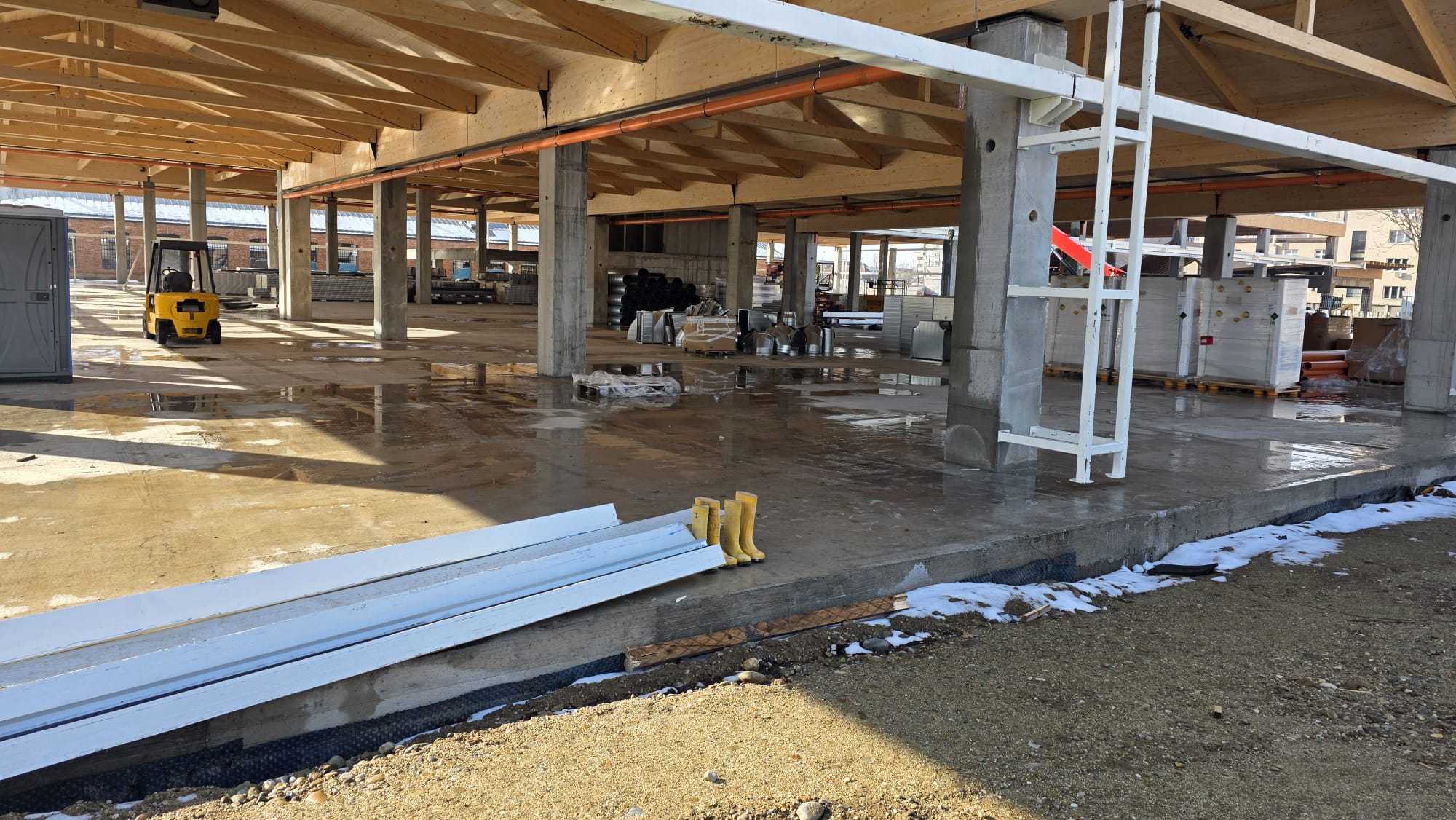 WhatsApp Image 2026-01-23 at 11.56.15 (4)