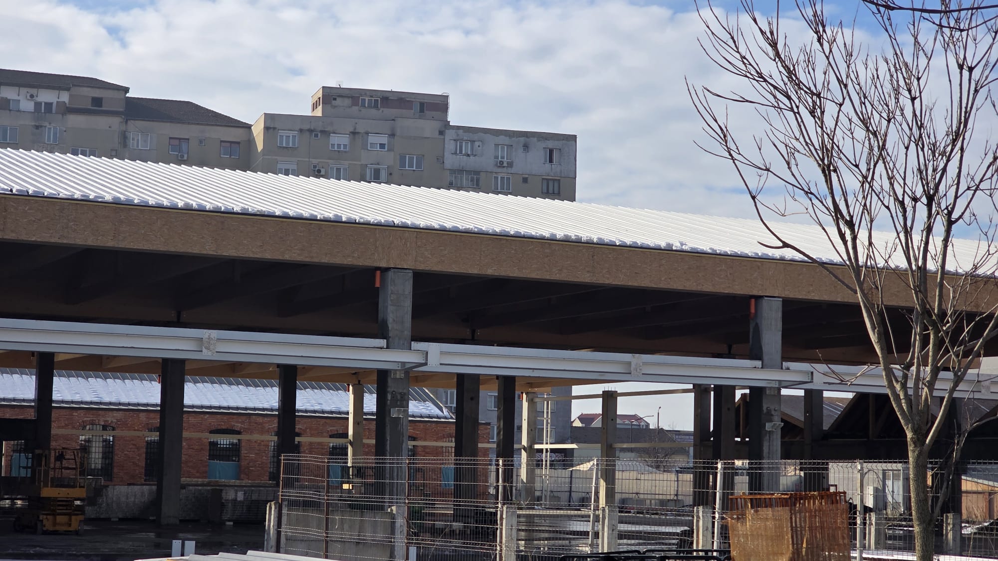 WhatsApp Image 2026-01-23 at 11.56.15 (3)