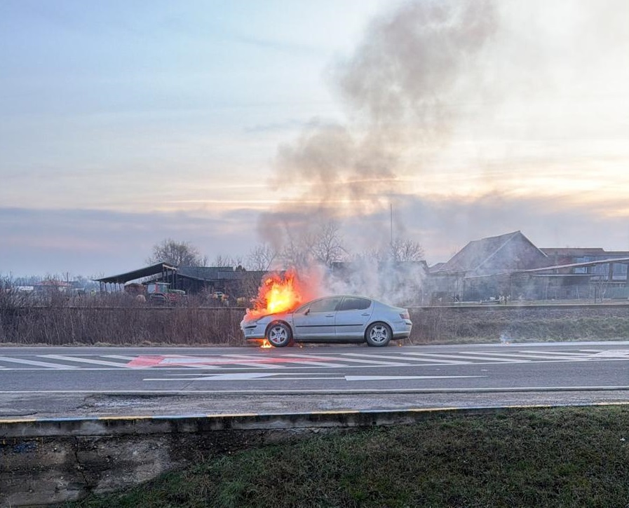 WhatsApp Image 2026-01-24 at 17.19.35