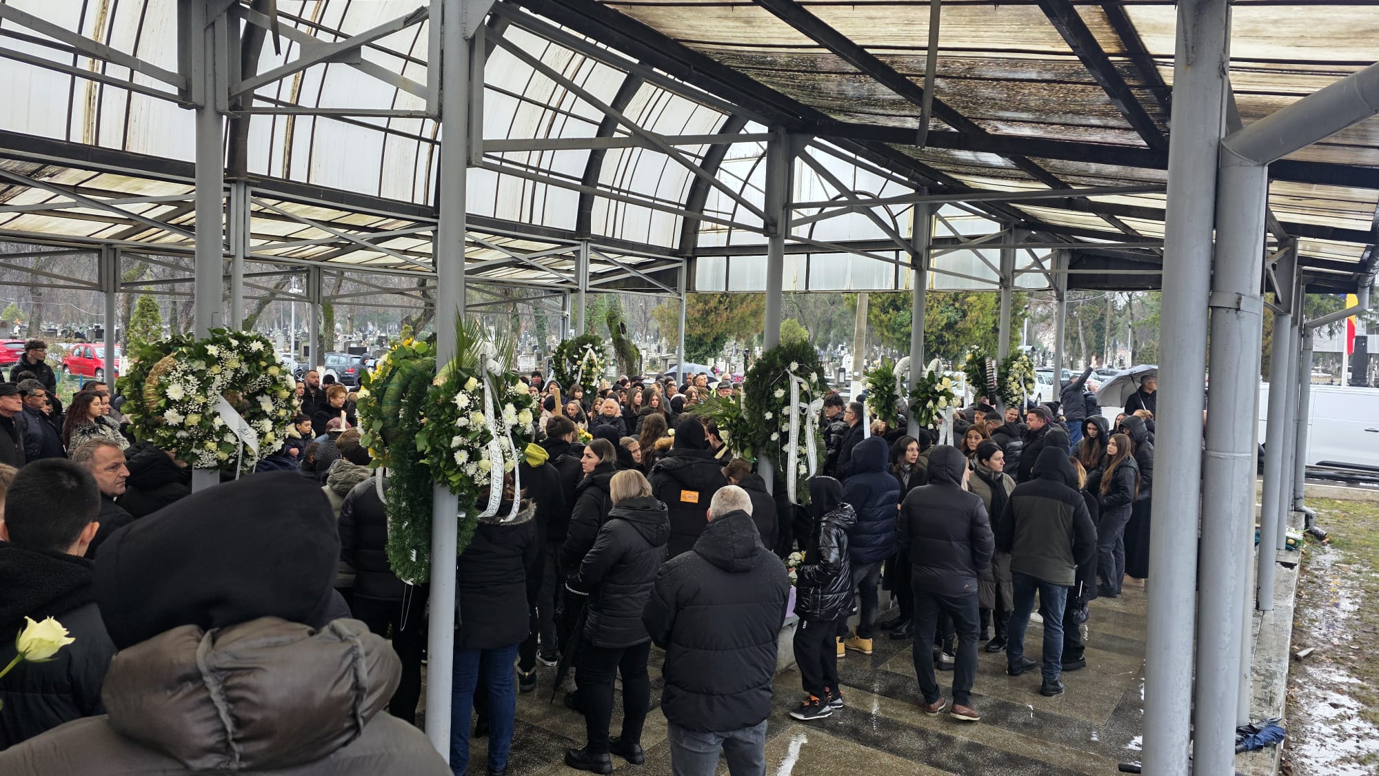 WhatsApp Image 2026-01-29 at 12.04.57 (2)