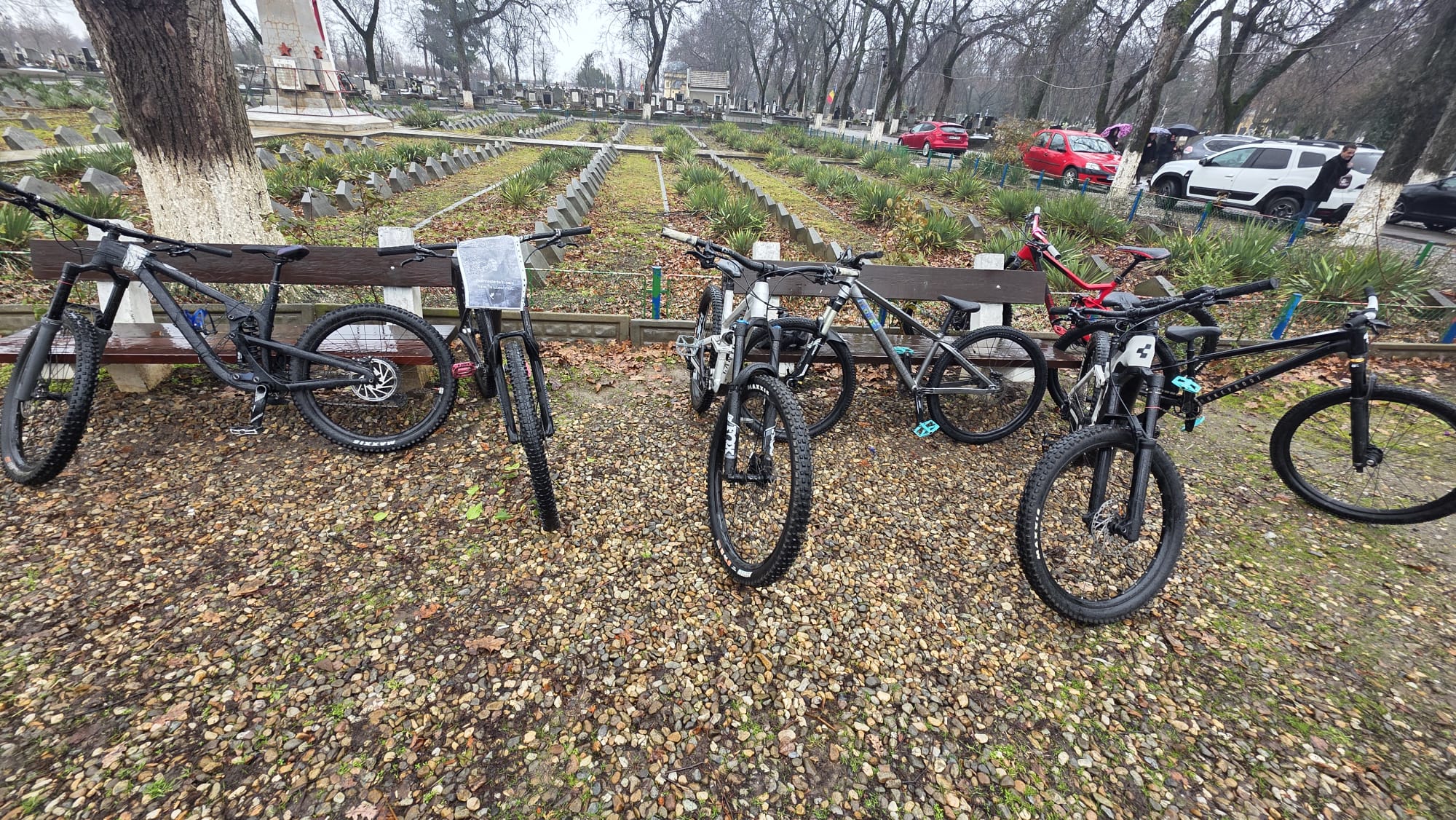 WhatsApp Image 2026-01-29 at 11.52.31