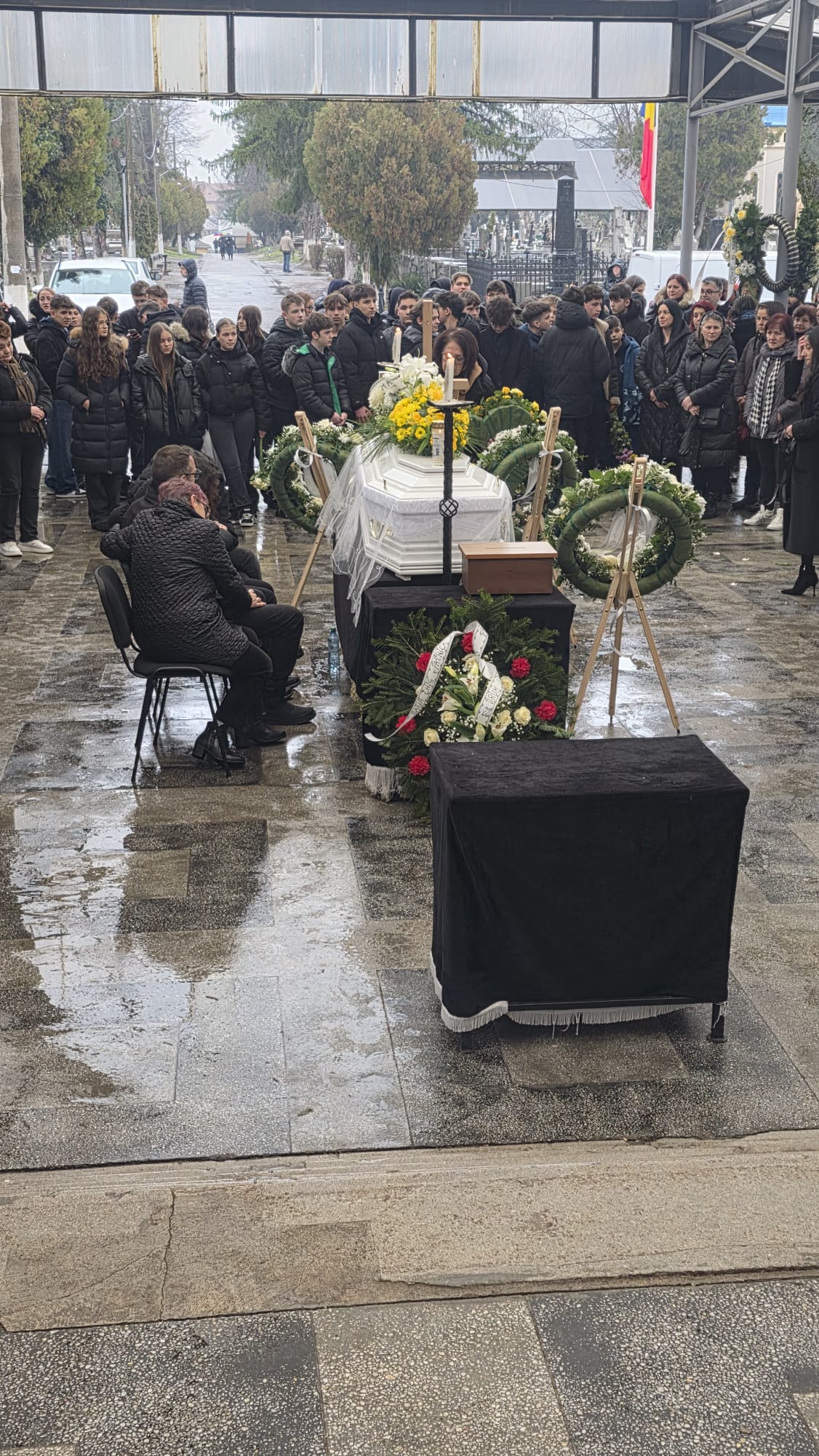 WhatsApp Image 2026-01-29 at 11.47.46