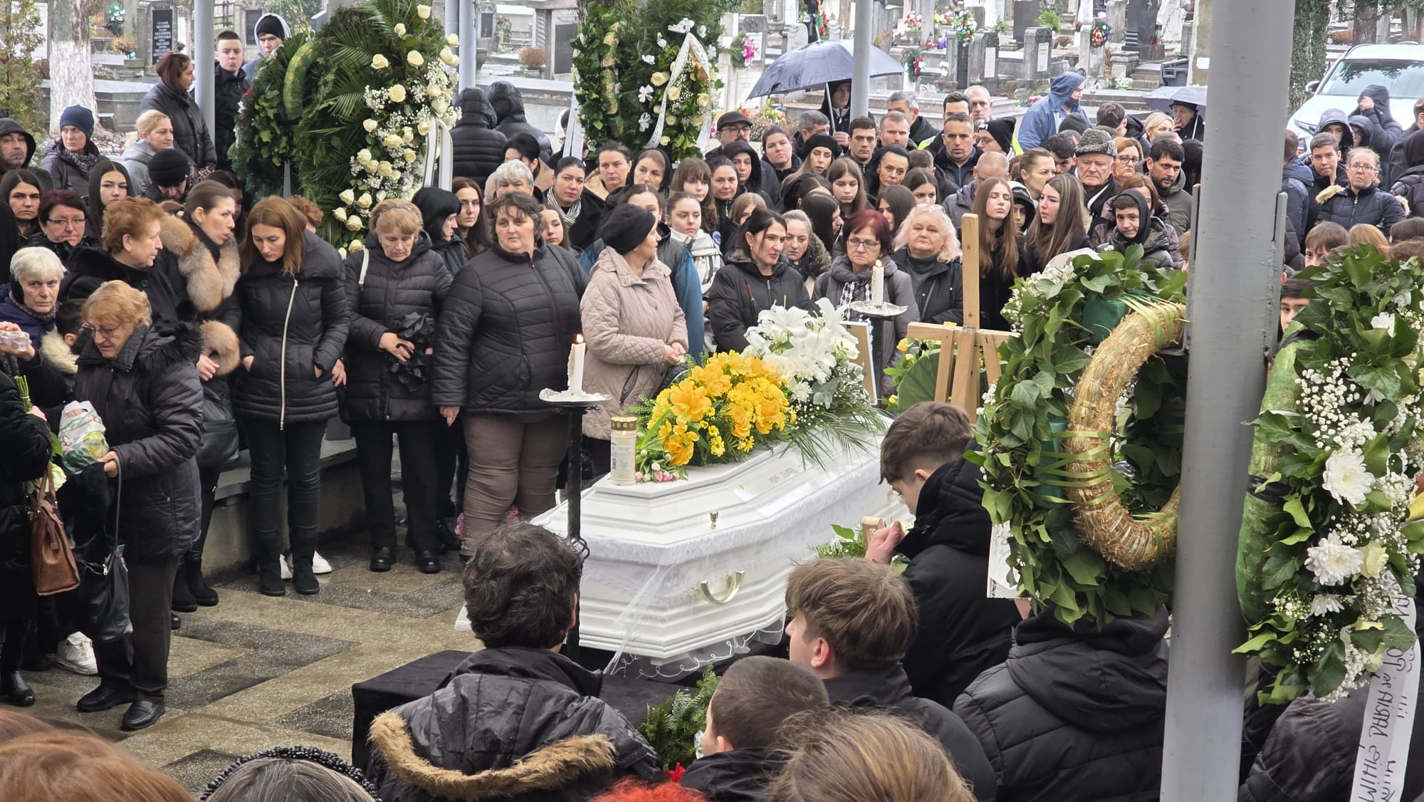 WhatsApp Image 2026-01-29 at 12.10.03 (1)