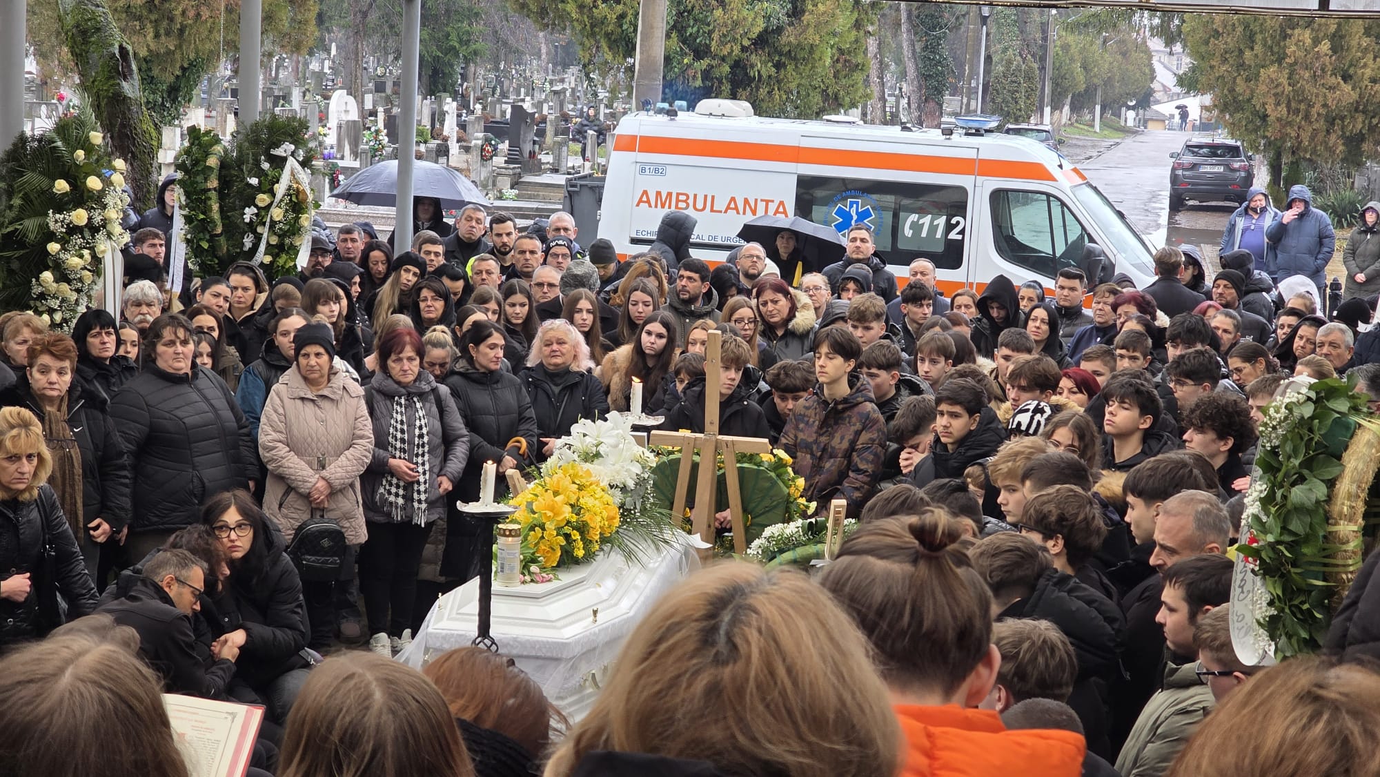 WhatsApp Image 2026-01-29 at 12.23.47