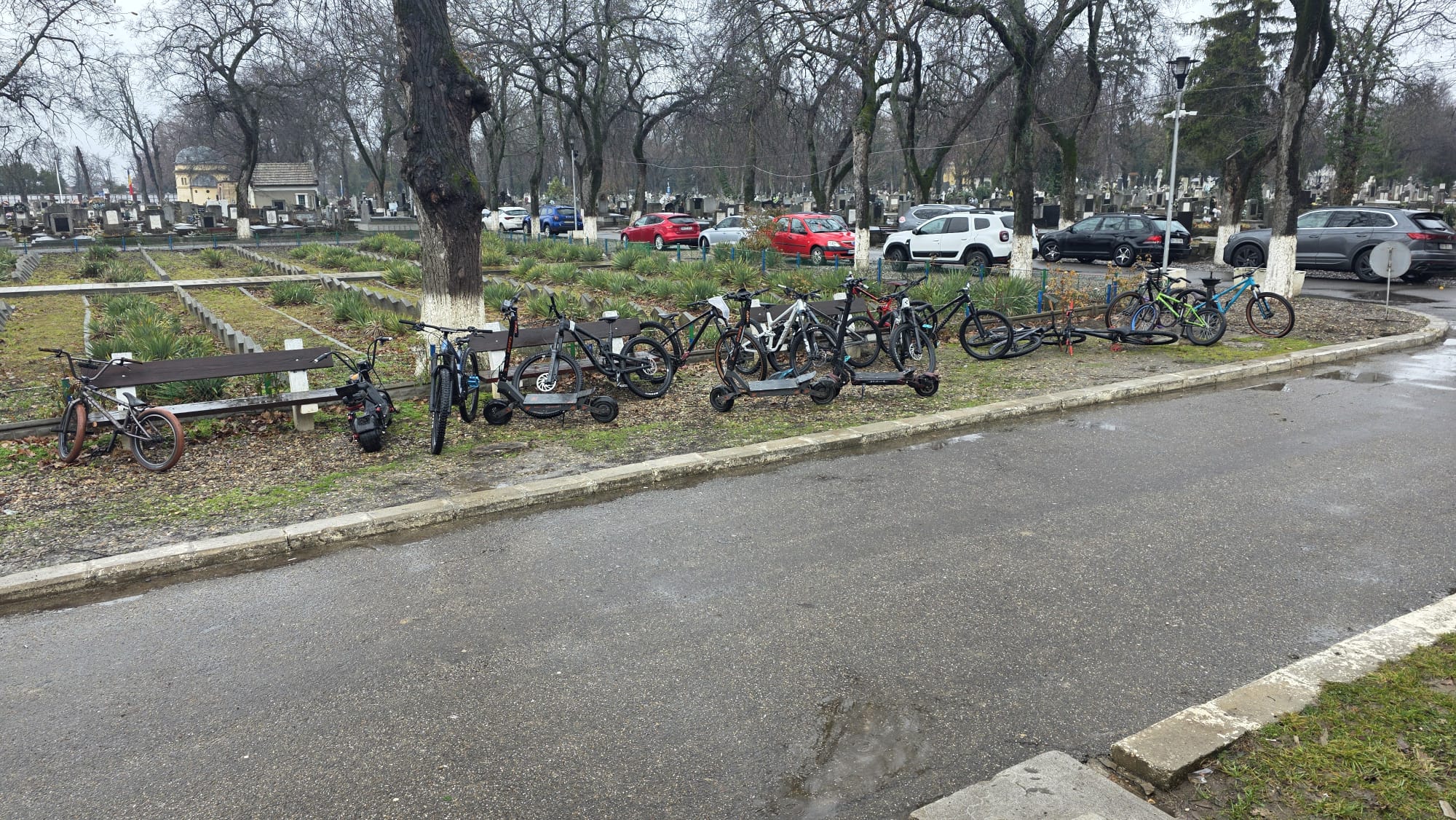 WhatsApp Image 2026-01-29 at 12.27.50