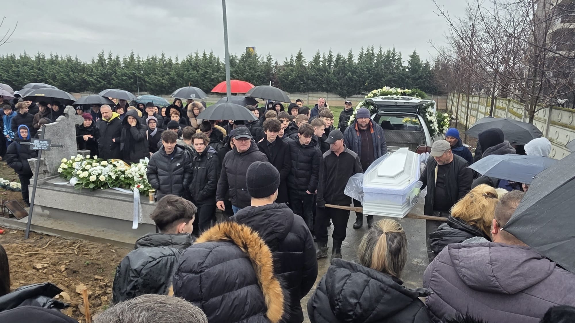 WhatsApp Image 2026-01-29 at 13.03.37