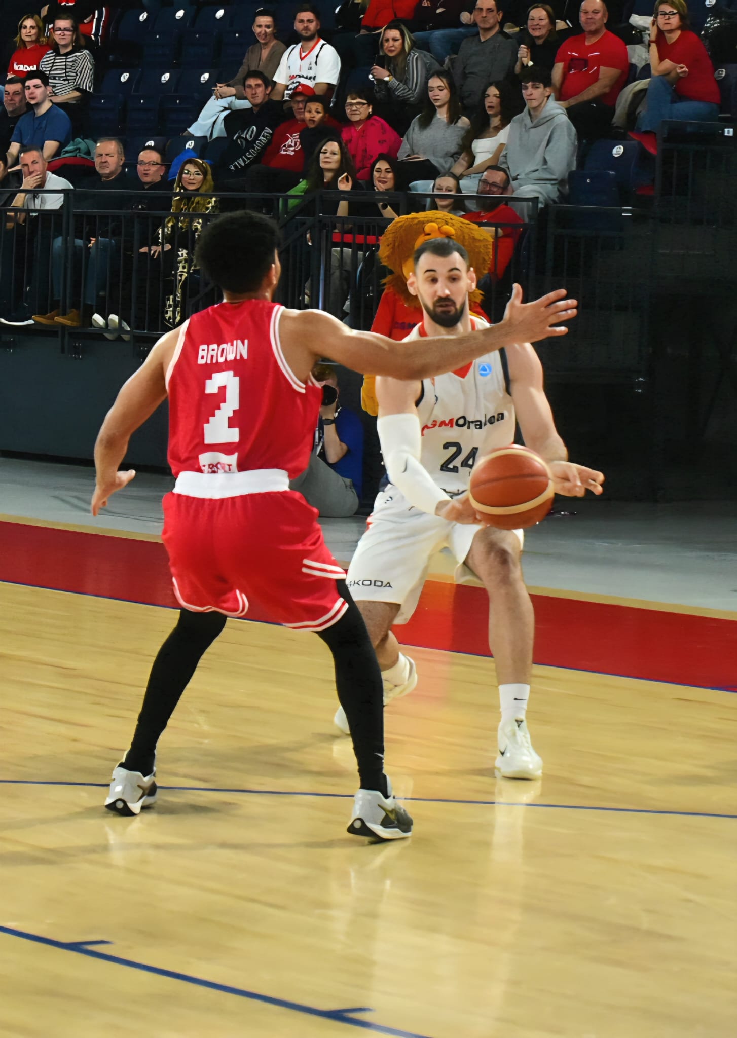 WhatsApp Image 2026-02-05 at 07.01.34