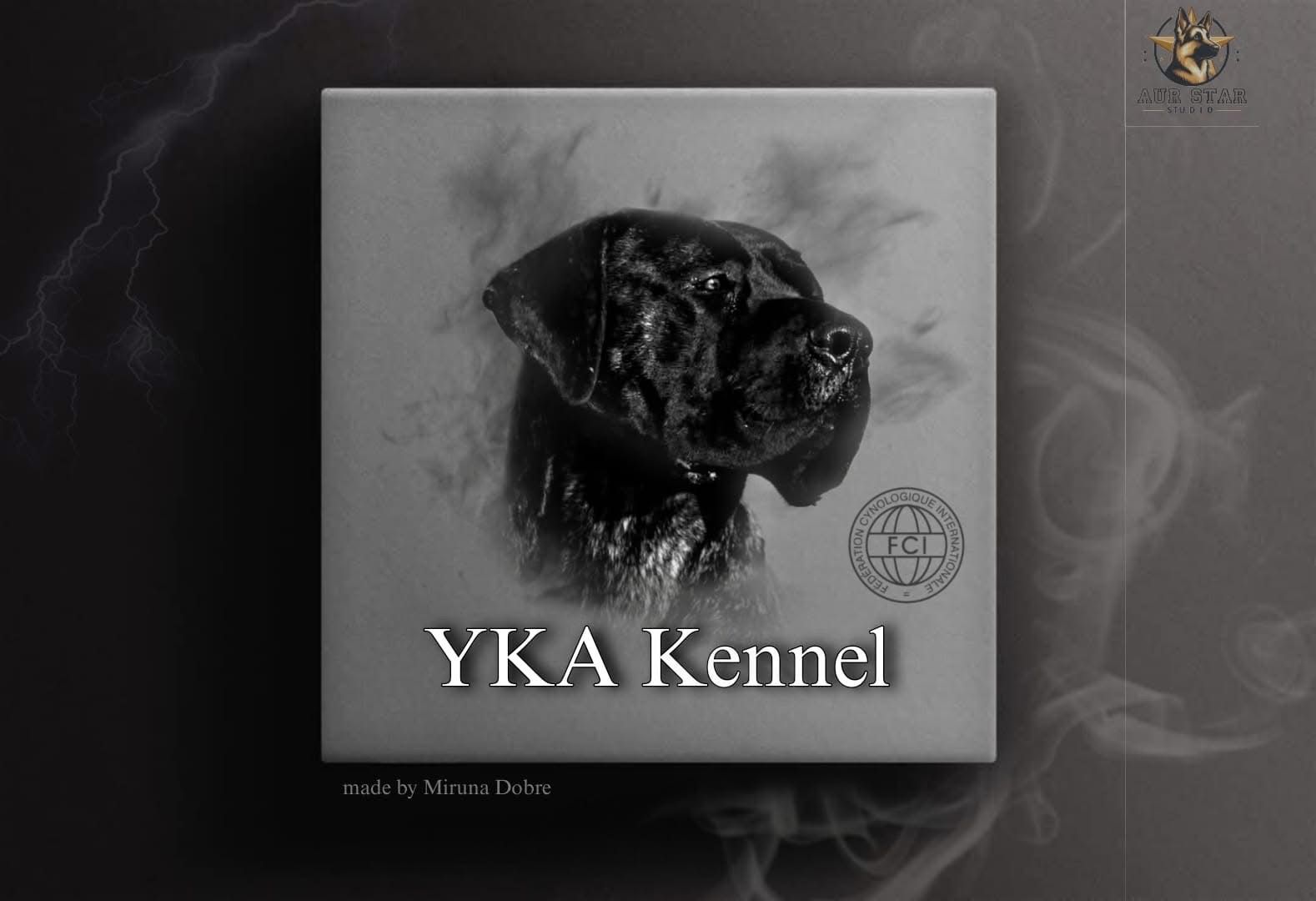 WhatsApp Image 2026-02-03 at 09.29.56(1)