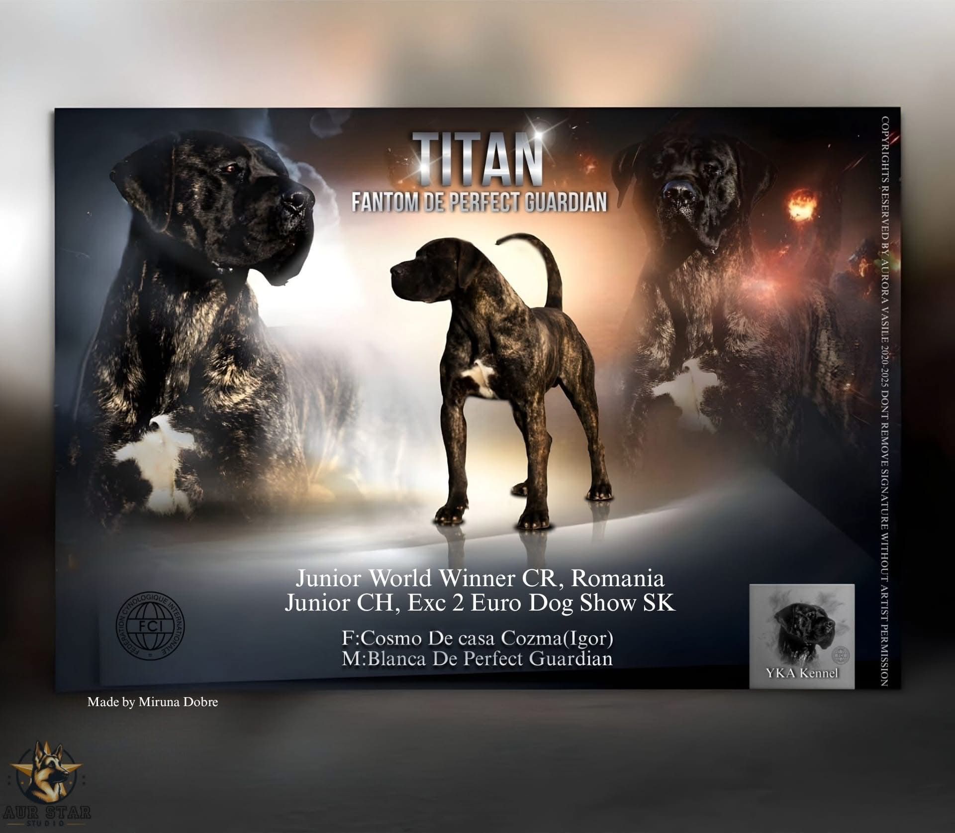 WhatsApp Image 2026-02-03 at 09.29.57