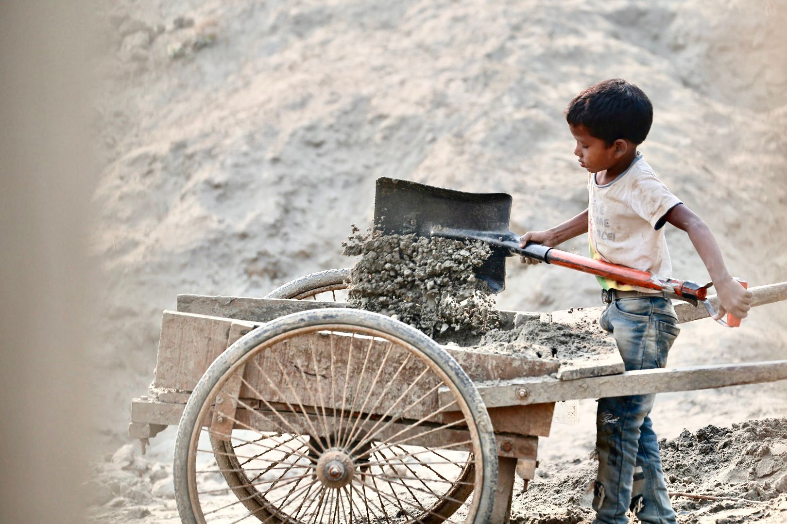 WhatsApp Image 2026-02-03 at 09.33.18(5)