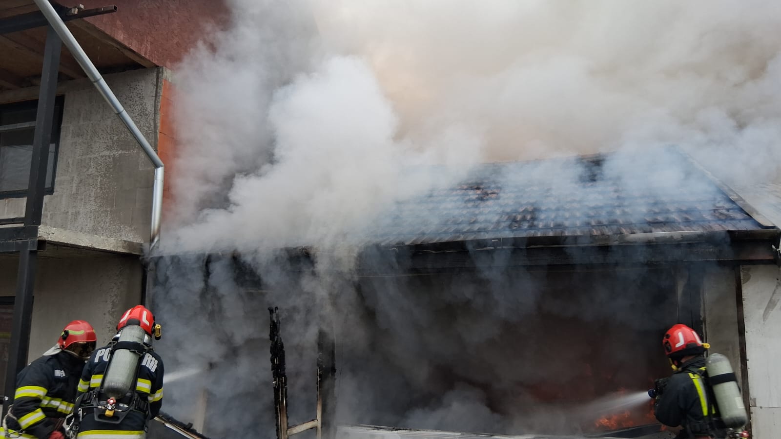 WhatsApp Image 2026-02-09 at 12.20.27 (1)