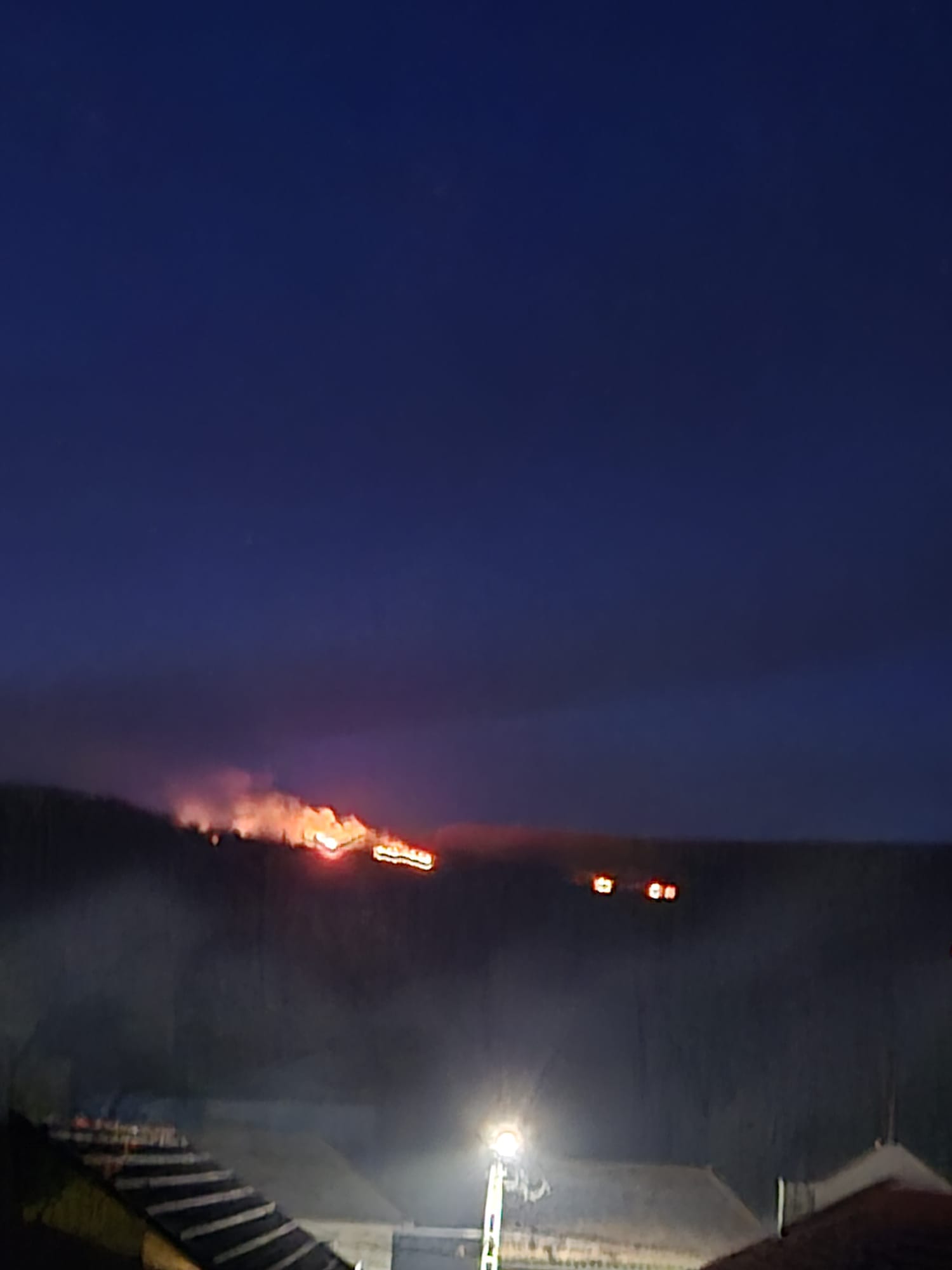 WhatsApp Image 2026-03-08 at 19.44.55 (3)