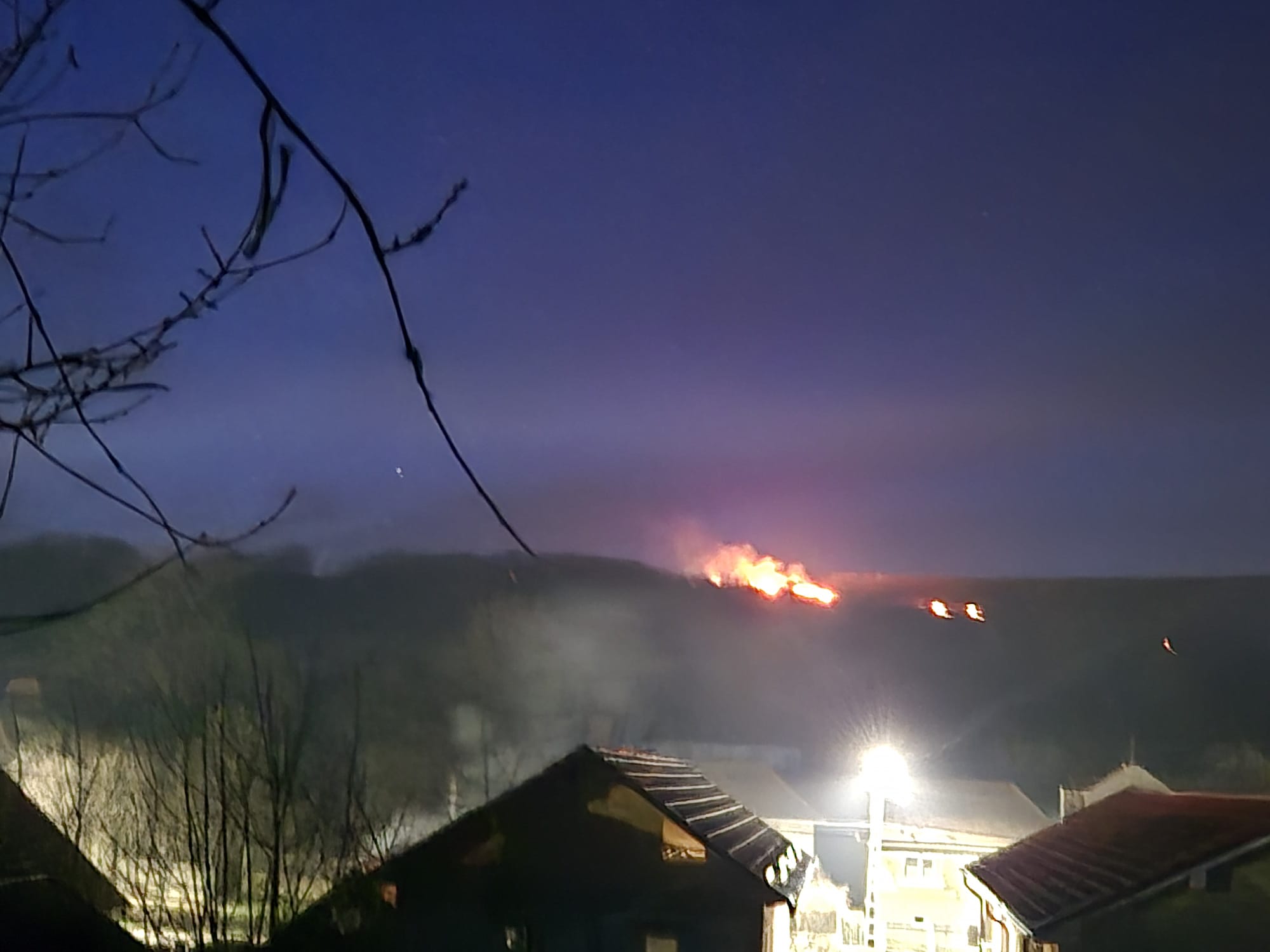 WhatsApp Image 2026-03-08 at 19.44.55 (1)