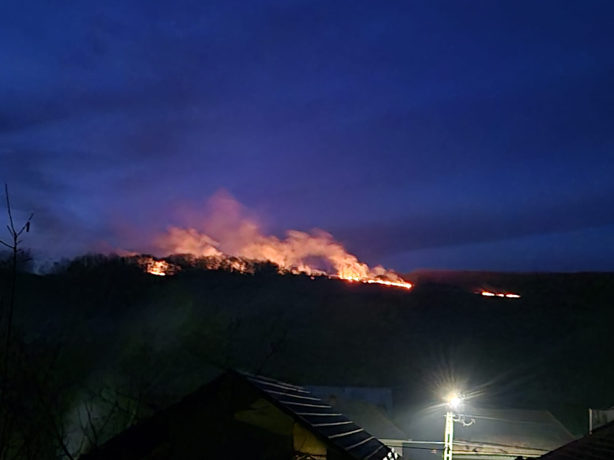 WhatsApp Image 2026-03-08 at 19.44.55 (2)