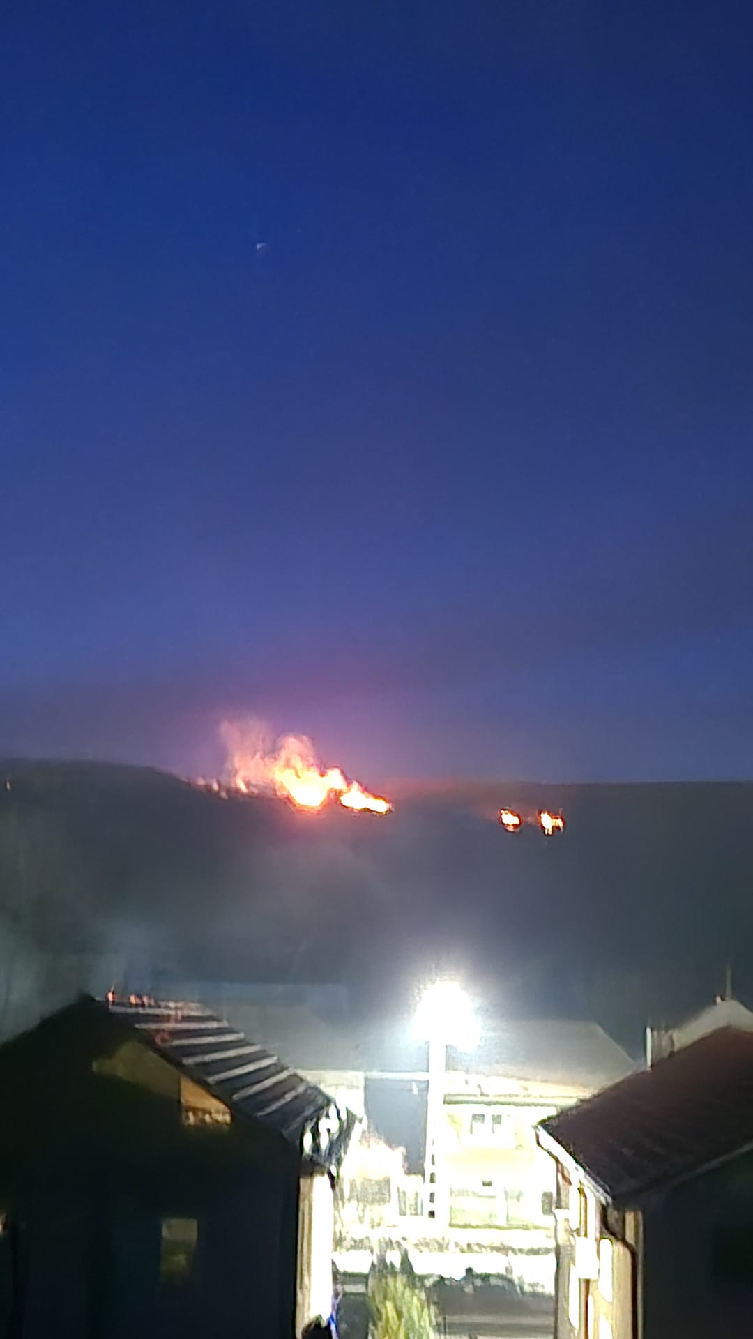 WhatsApp Image 2026-03-08 at 19.44.55