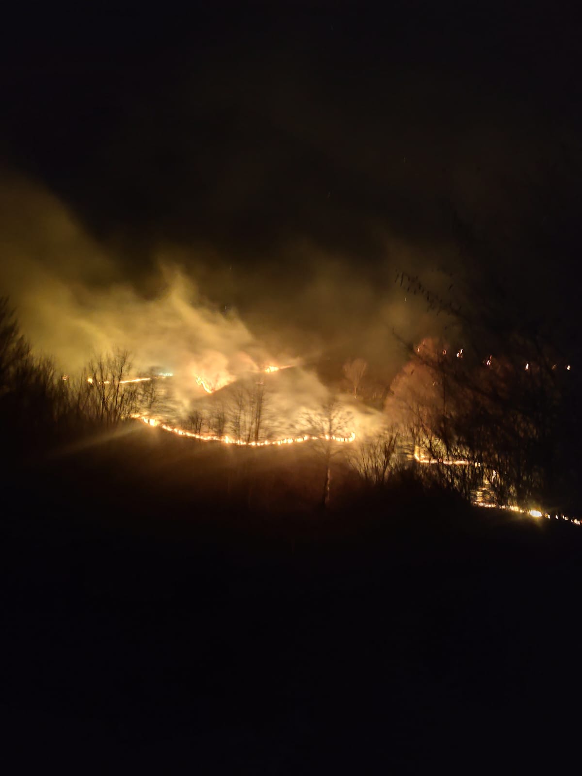 WhatsApp Image 2026-03-09 at 13.27.42