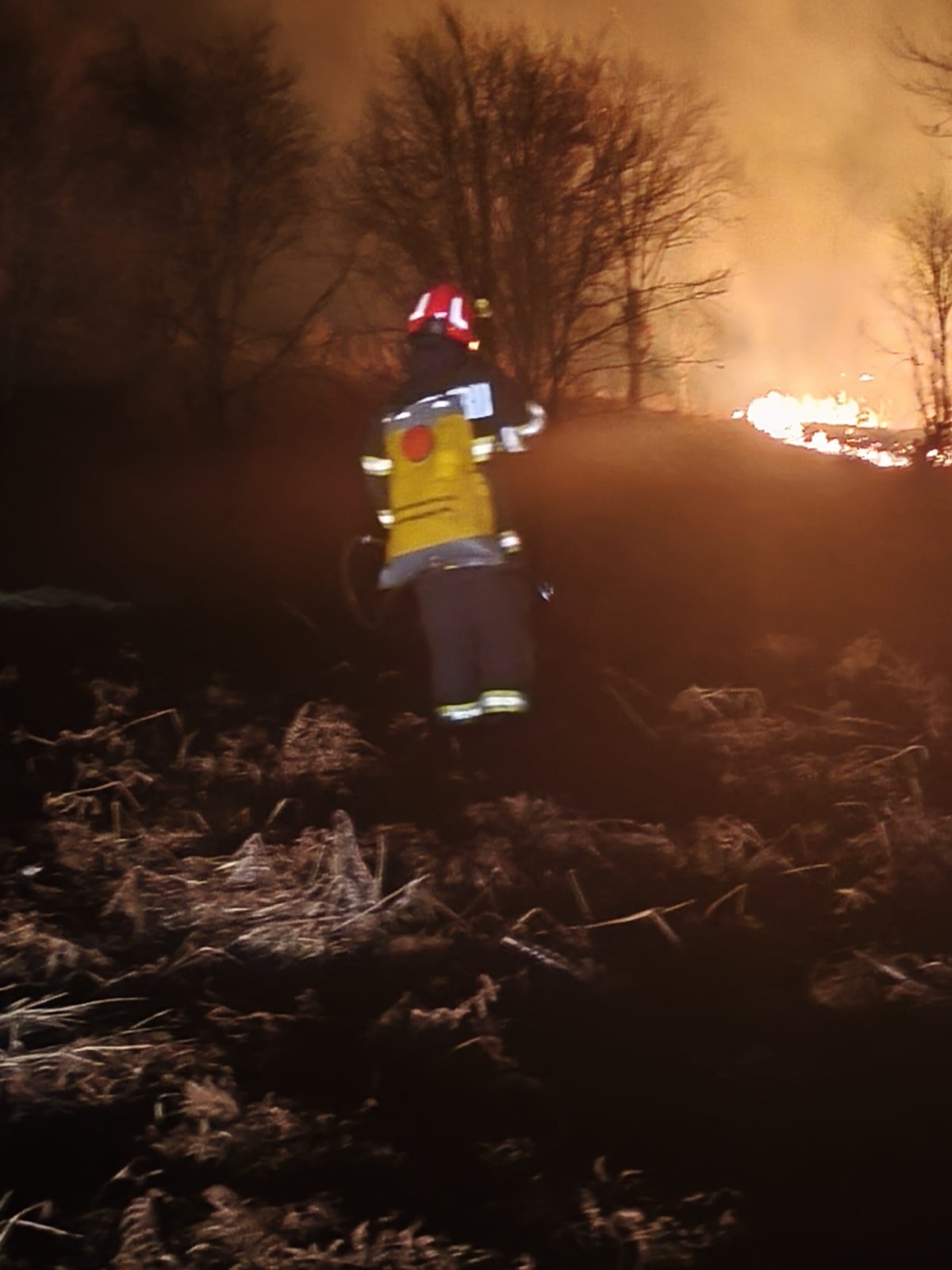 WhatsApp Image 2026-03-09 at 13.27.41 (1)