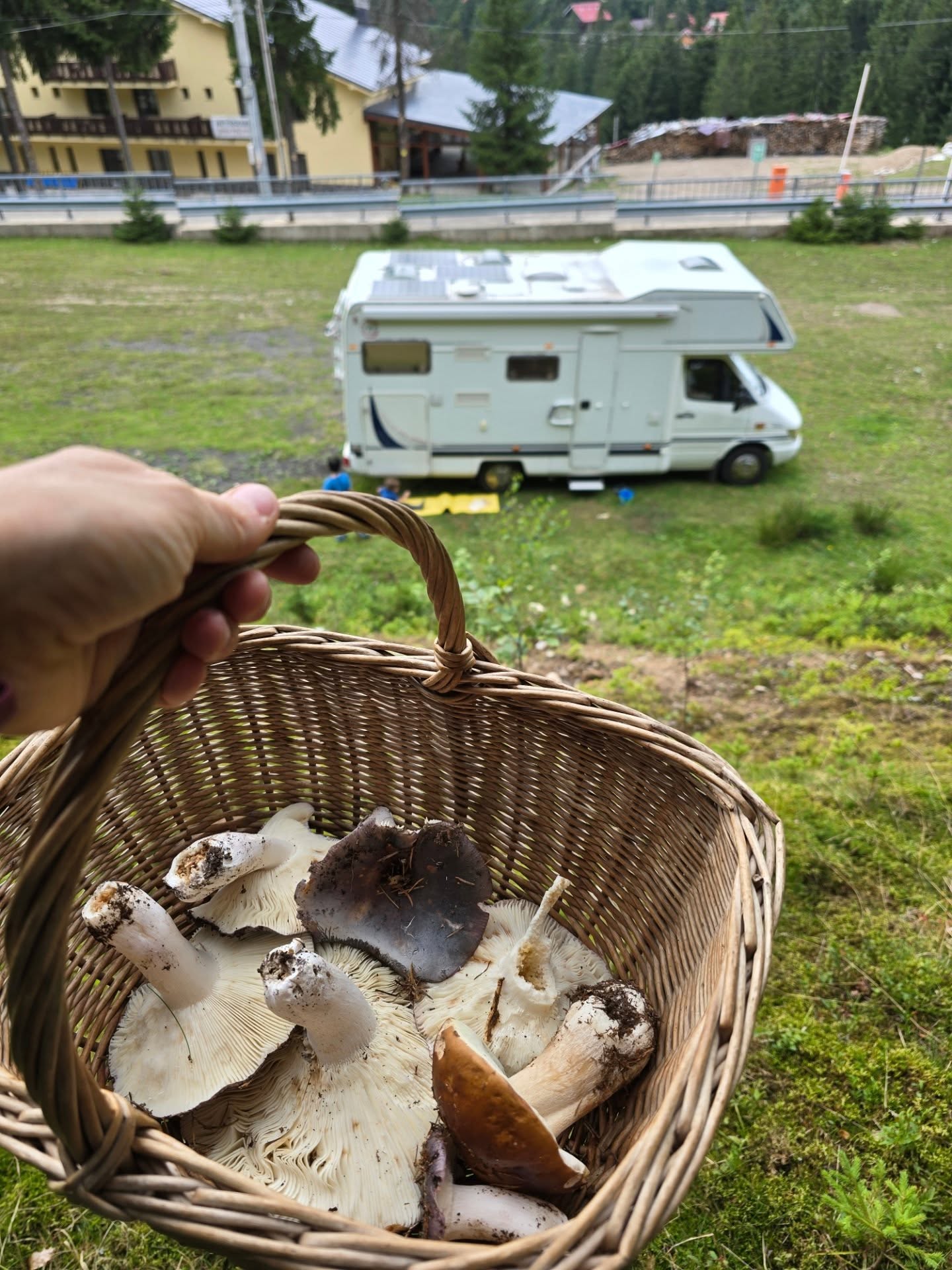 541618263_18000753800813088_7881092491567357672_n