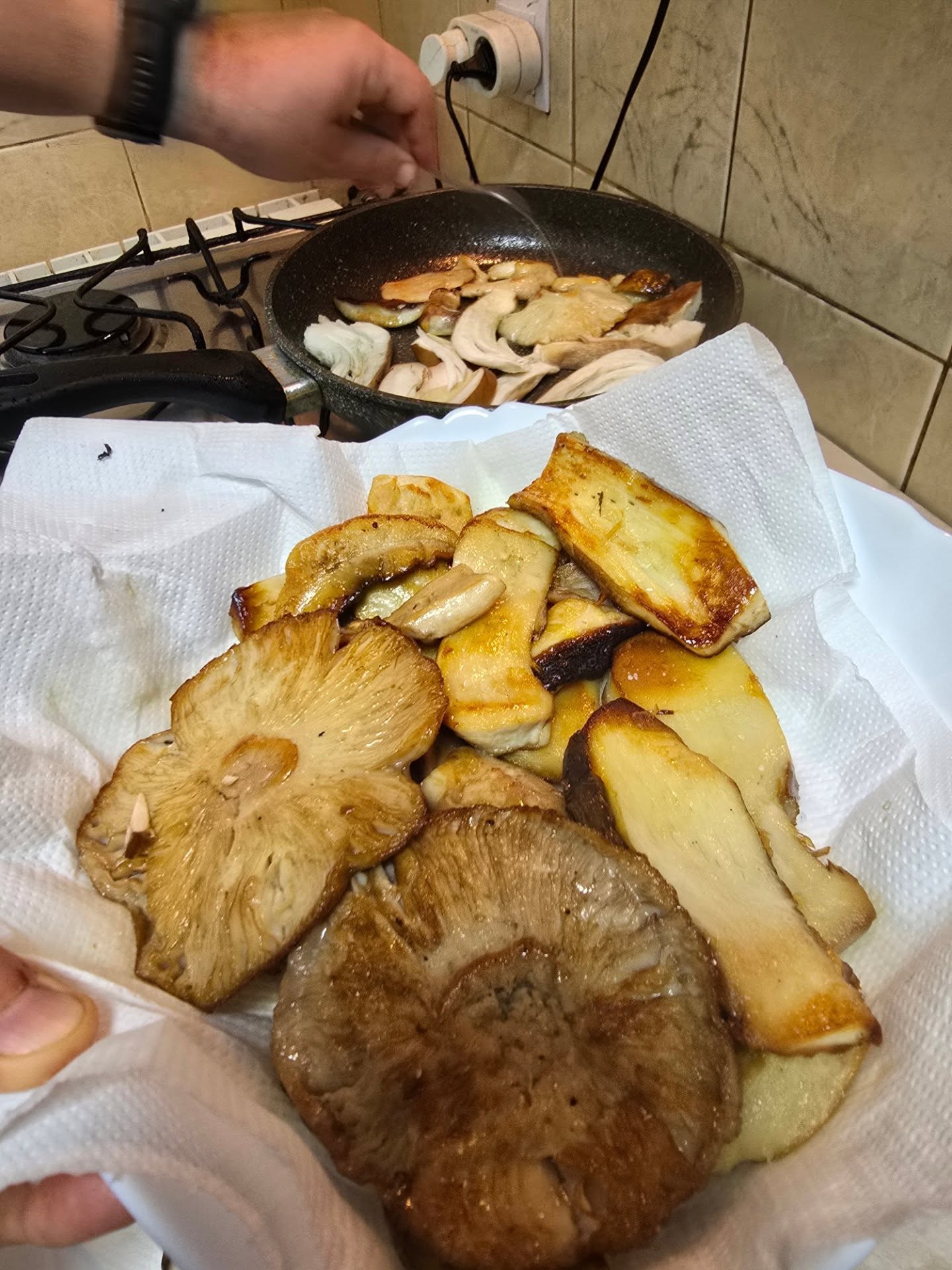 542223083_18000276545813088_7097685925687816876_n