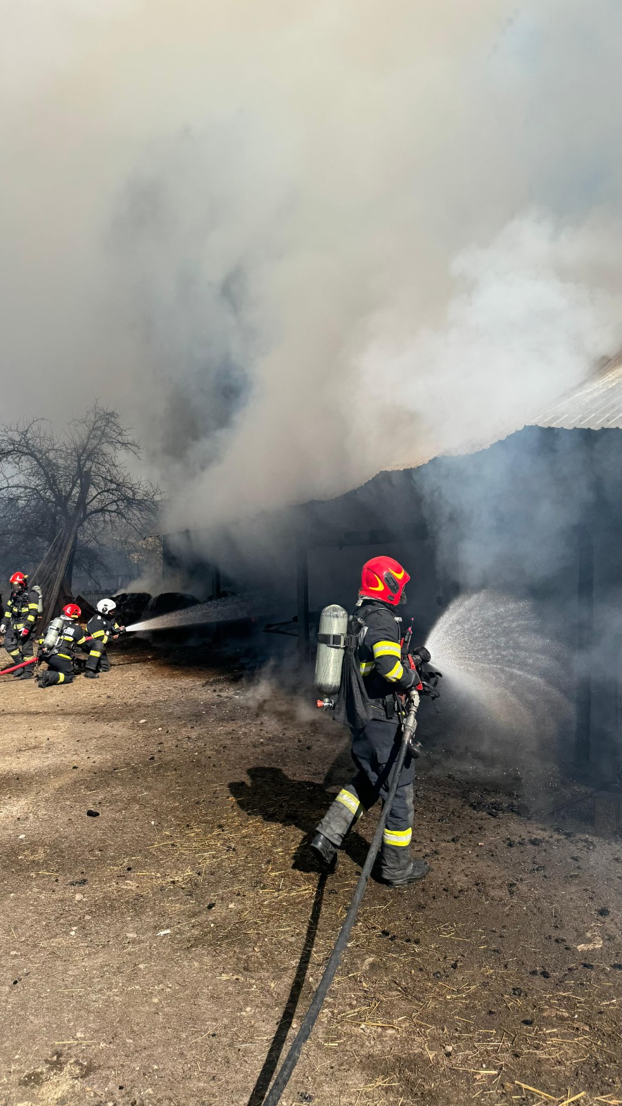 WhatsApp Image 2026-03-16 at 13.09.43 (1)