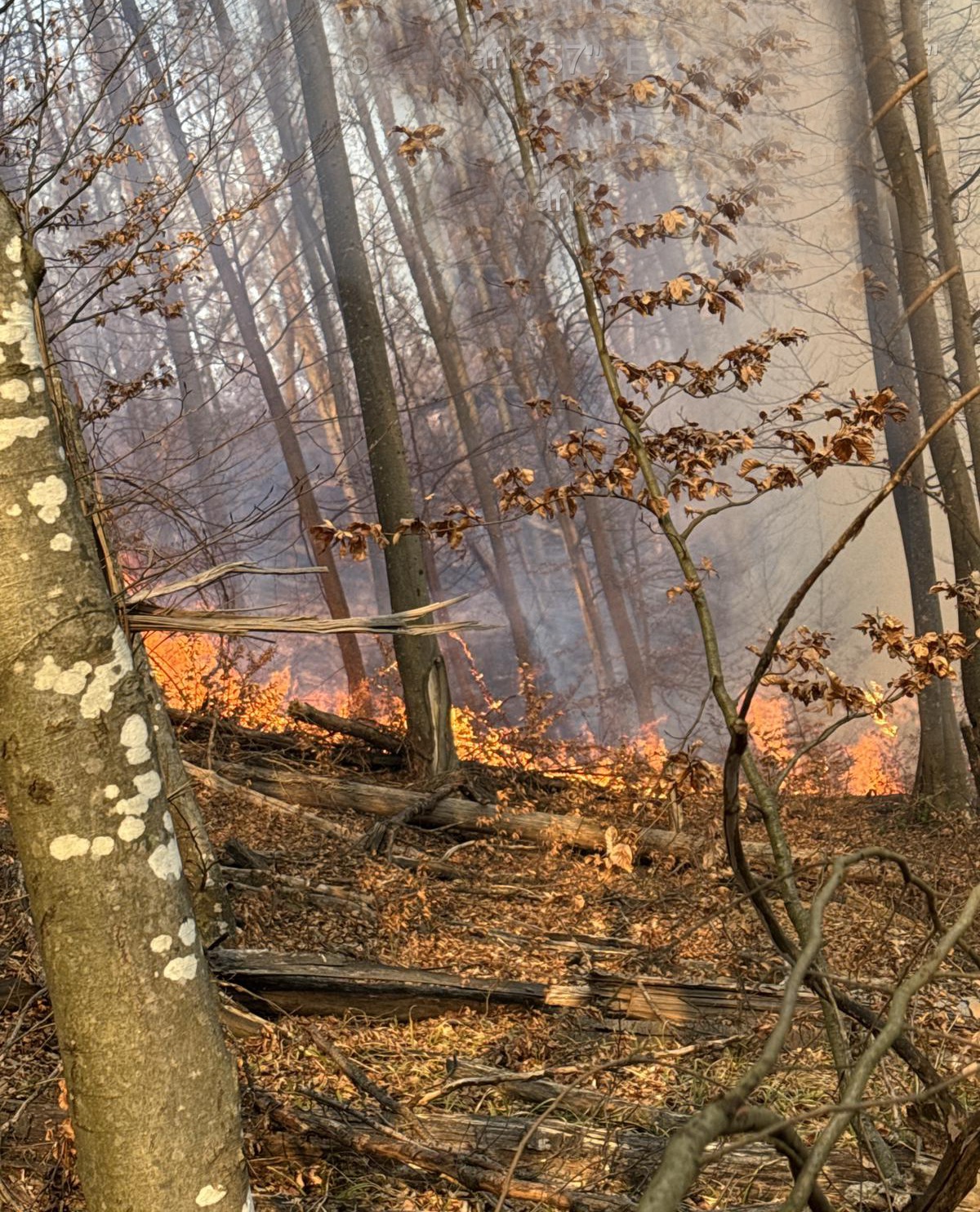 WhatsApp Image 2026-03-16 at 13.09.43