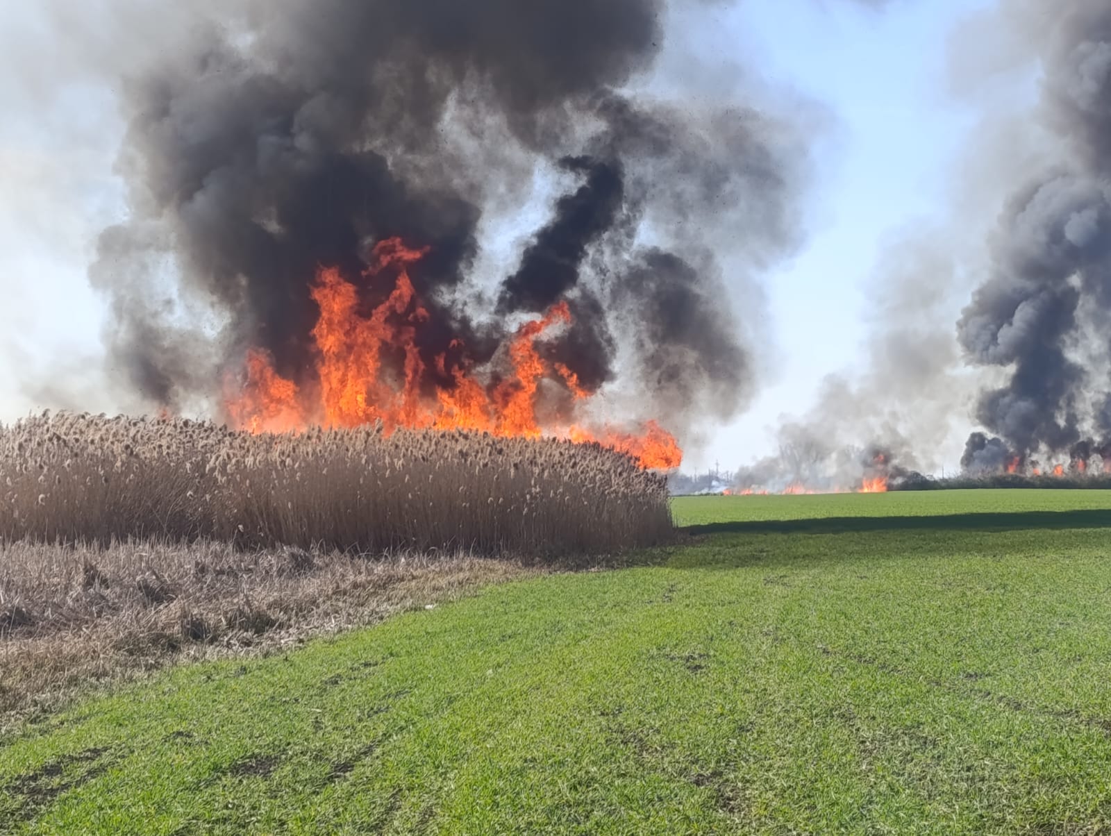 WhatsApp Image 2026-03-16 at 13.09.44