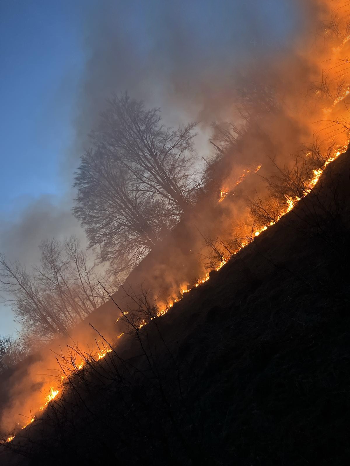 WhatsApp Image 2026-03-16 at 13.09.44 (1)