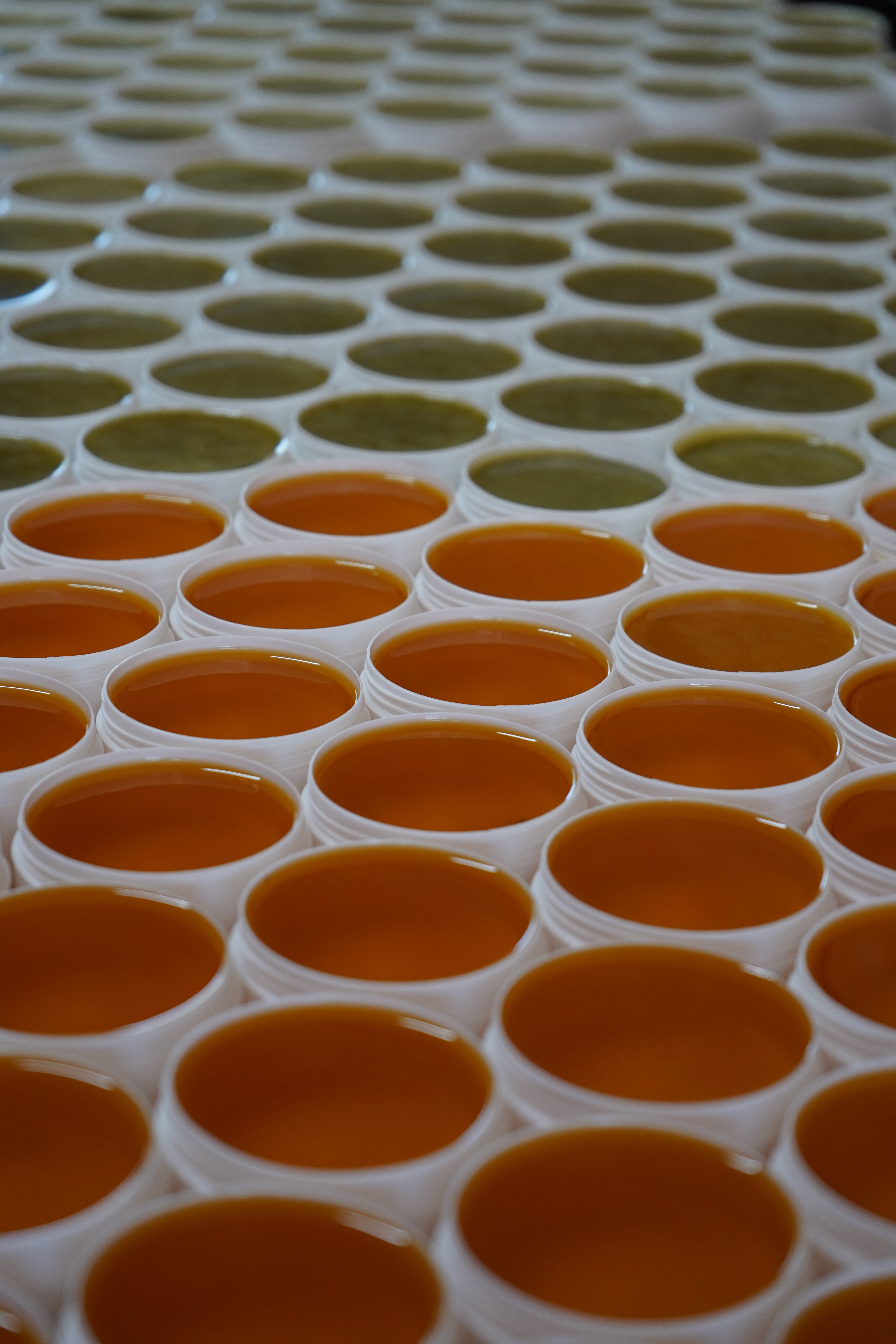 CREMELE PROASPAT DOZATE