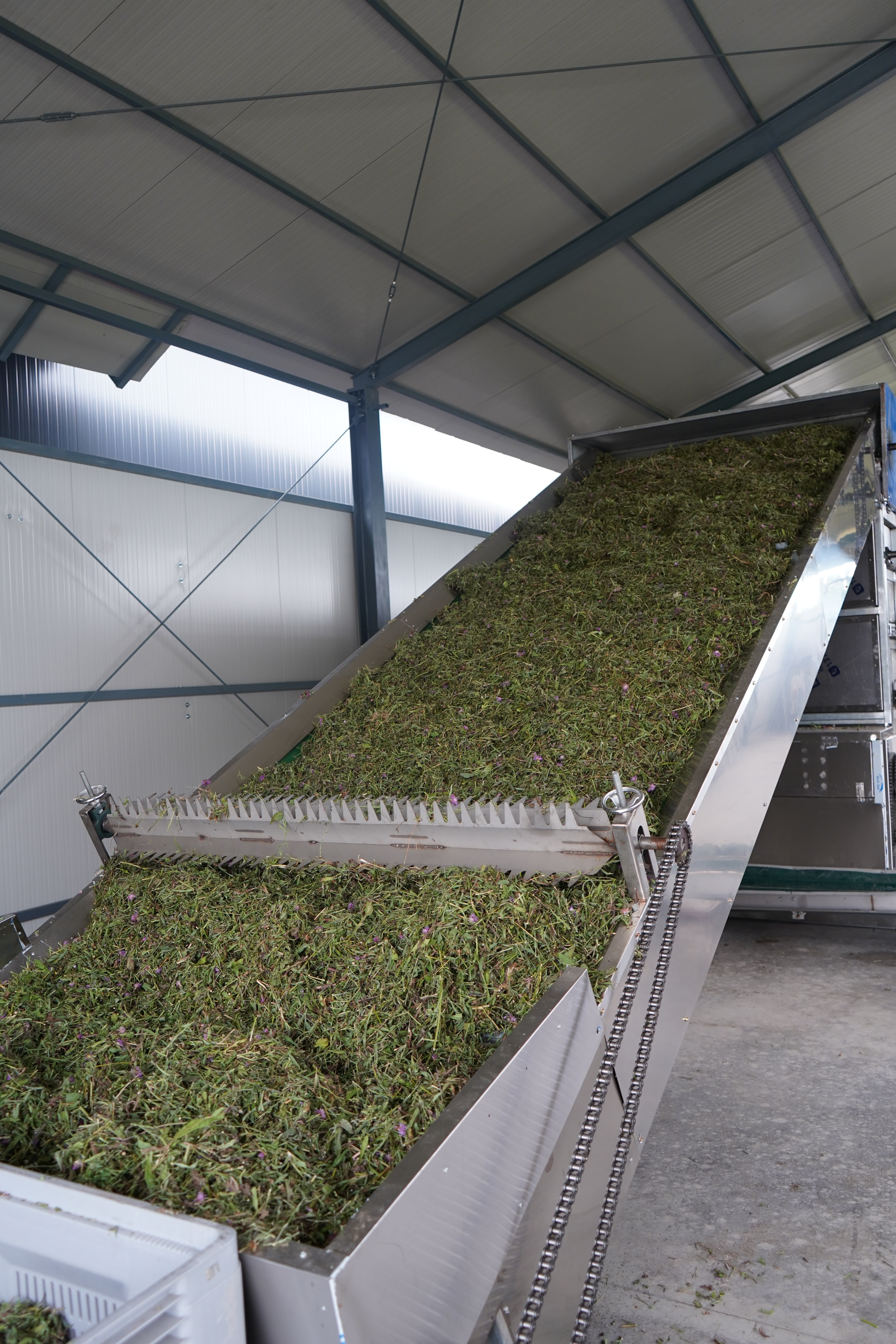 DEZUMIDIFICAREA PLANTELOR PROASPAT RECOLTATE