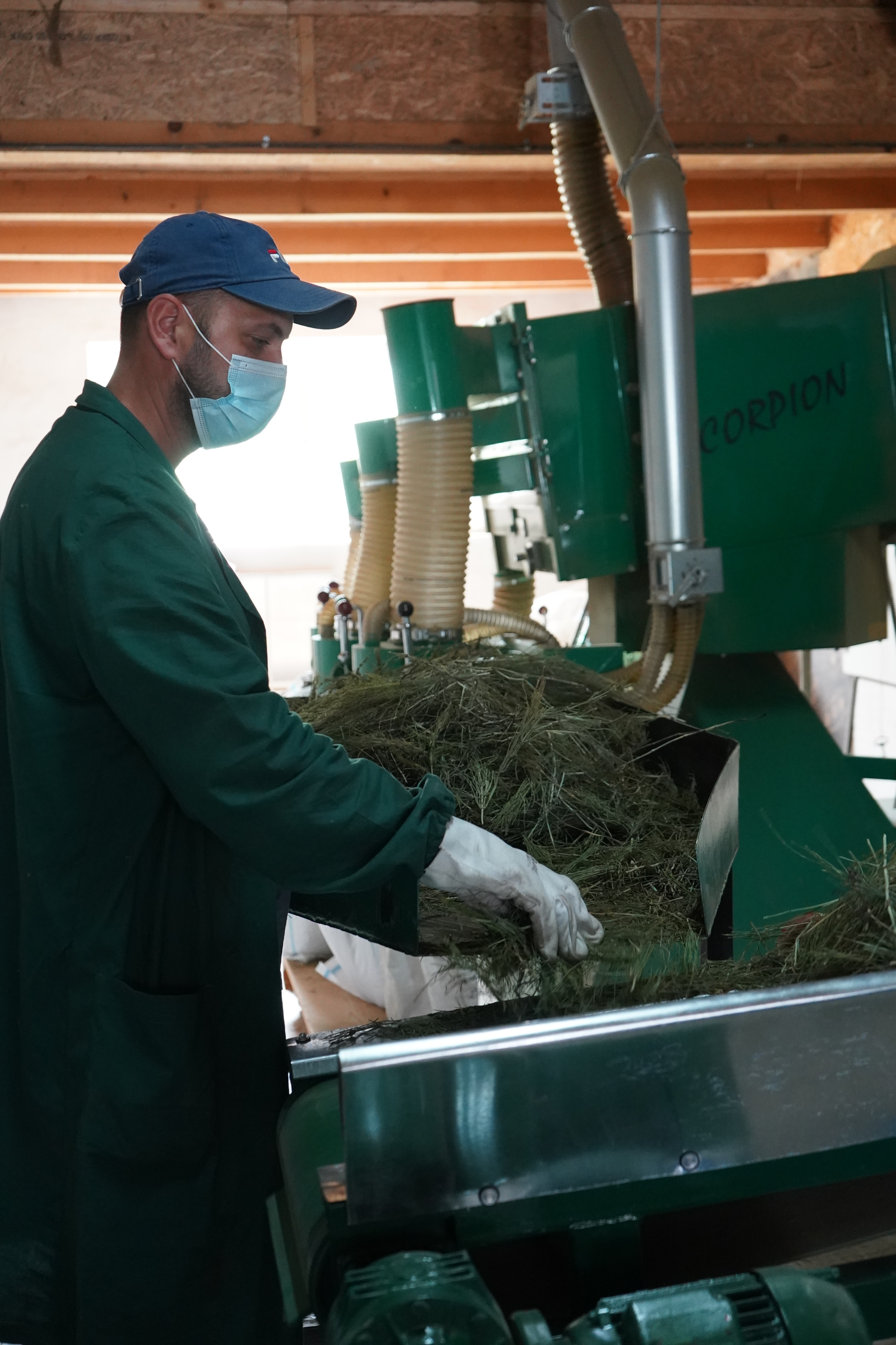 MARUNTIREA PLANTELOR PROASPAT USCATE