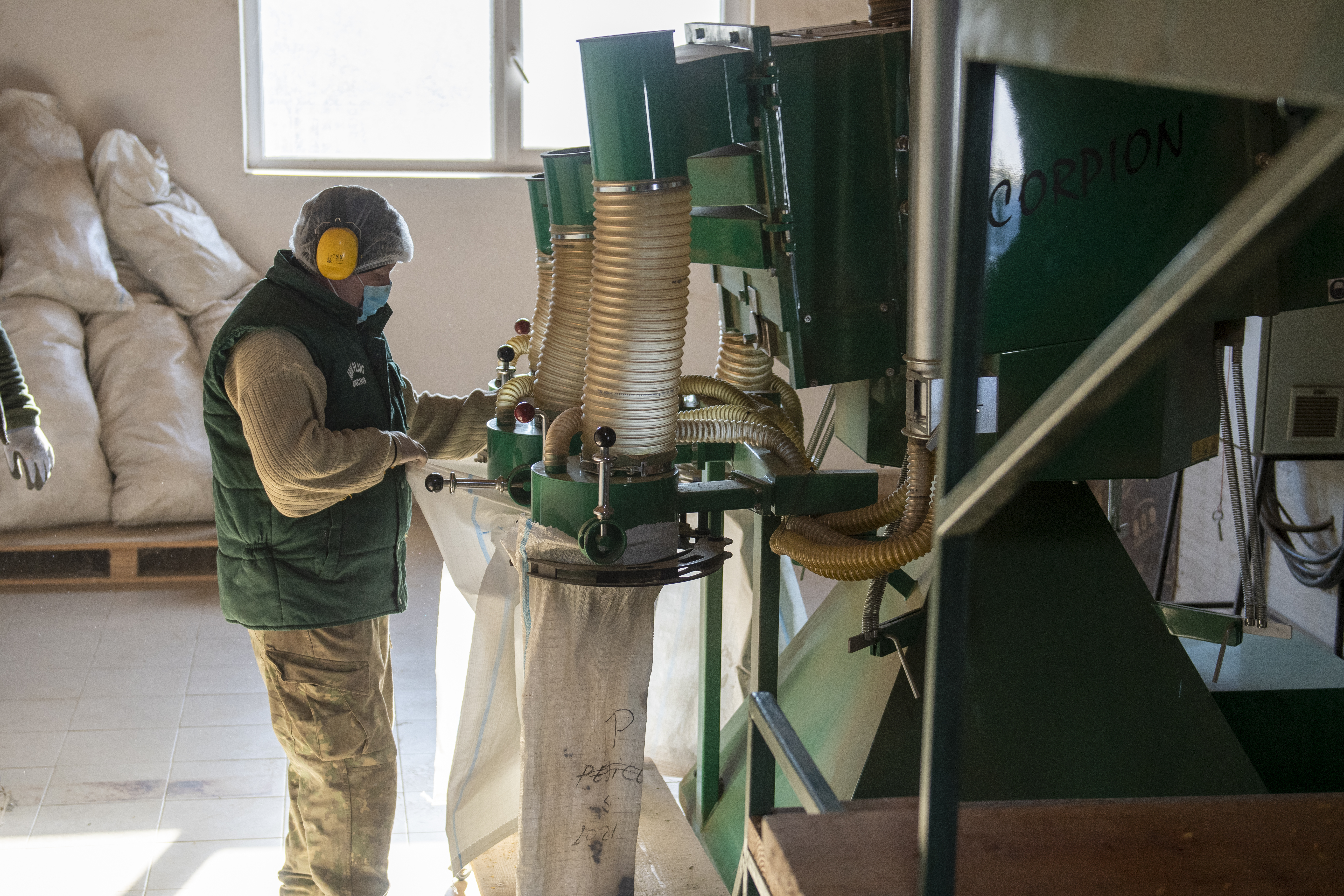 SELECTAREA PLANTEI DUPA MARUNTIRE