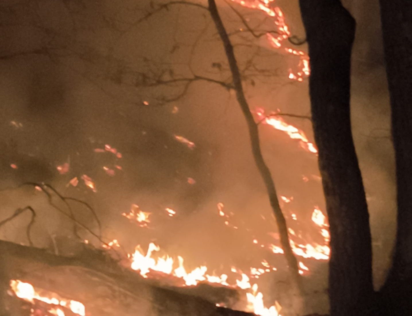 WhatsApp Image 2026-03-19 at 10.45.06 (2)