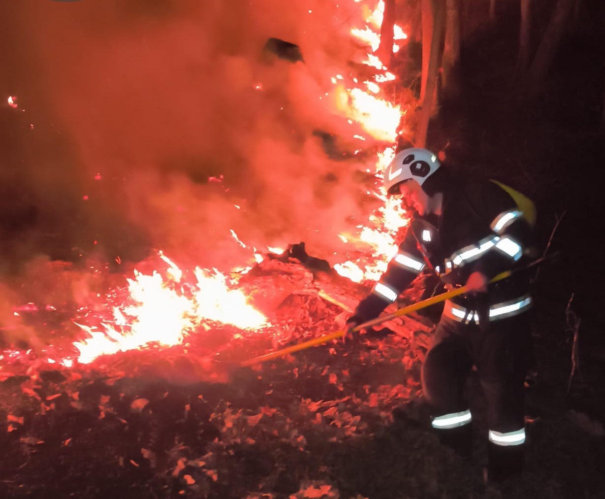 WhatsApp Image 2026-03-19 at 10.45.07 (1)