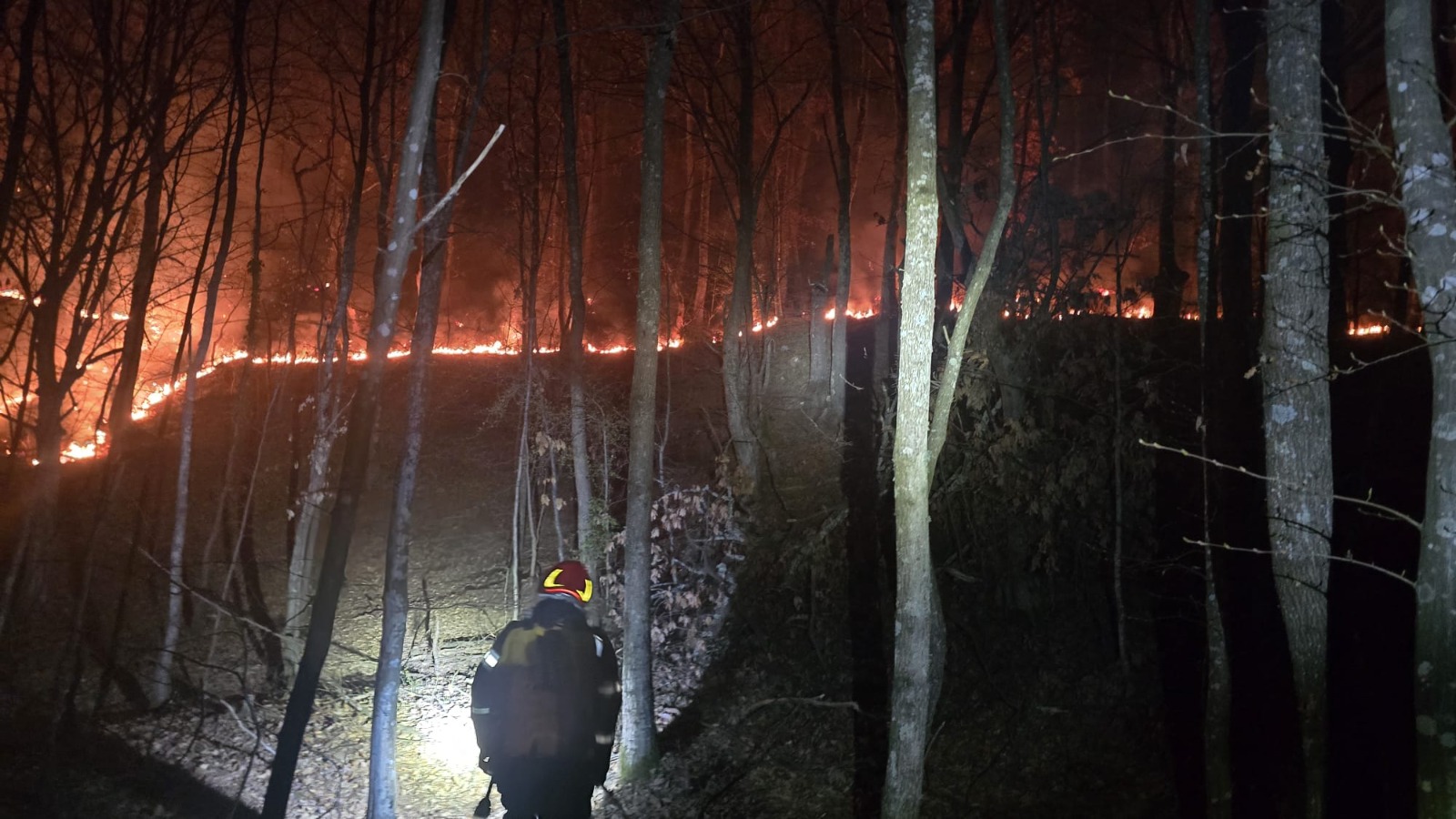 WhatsApp Image 2026-03-19 at 10.45.05 (1)