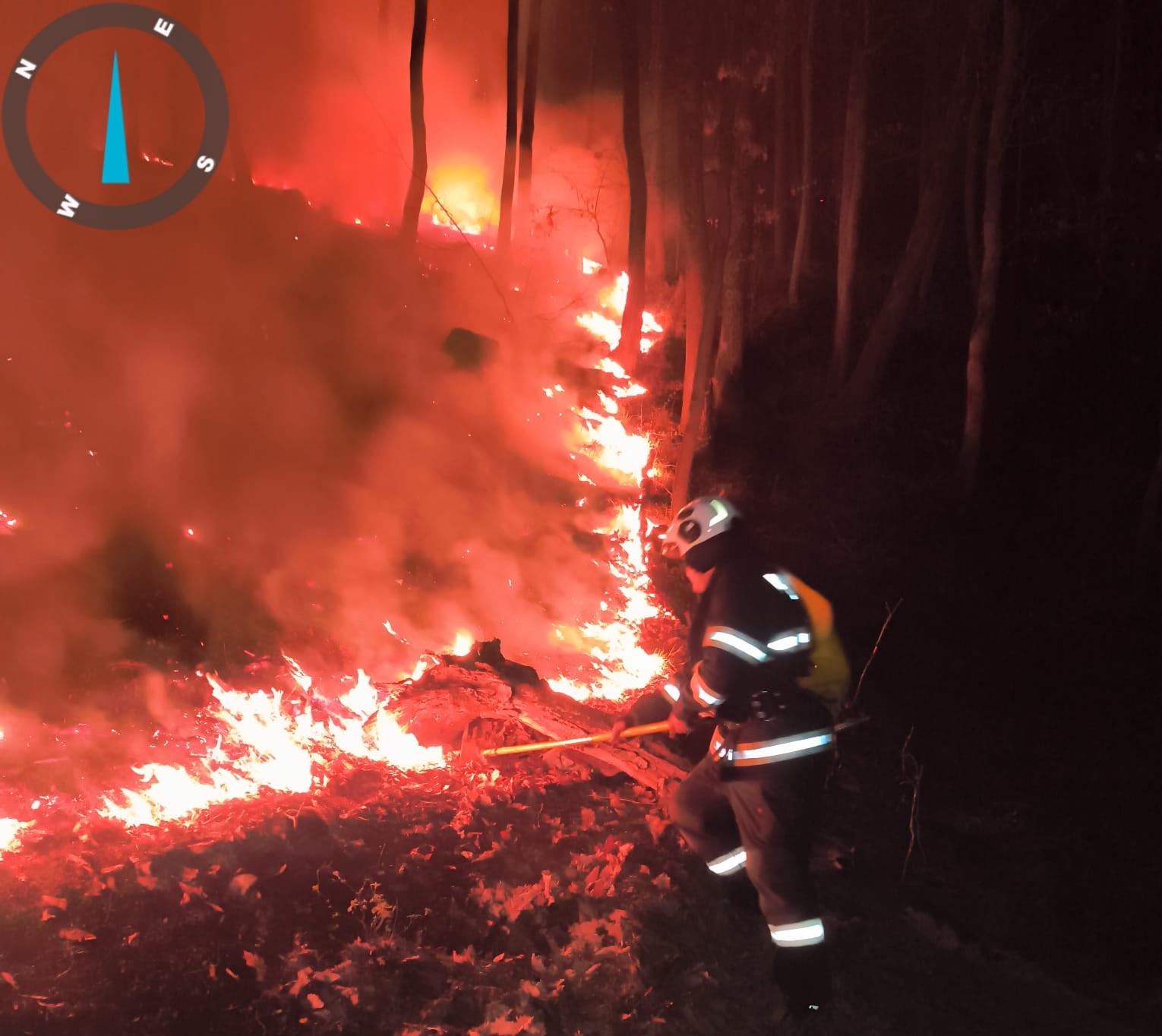 WhatsApp Image 2026-03-19 at 10.45.05 (2)