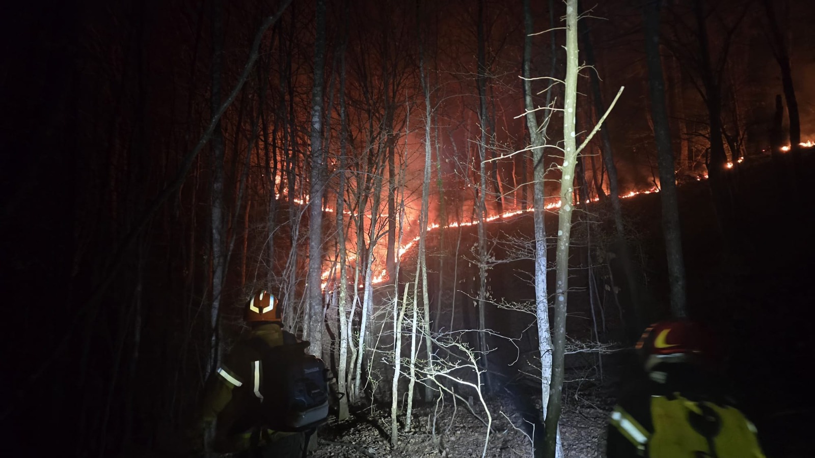 WhatsApp Image 2026-03-19 at 10.45.05