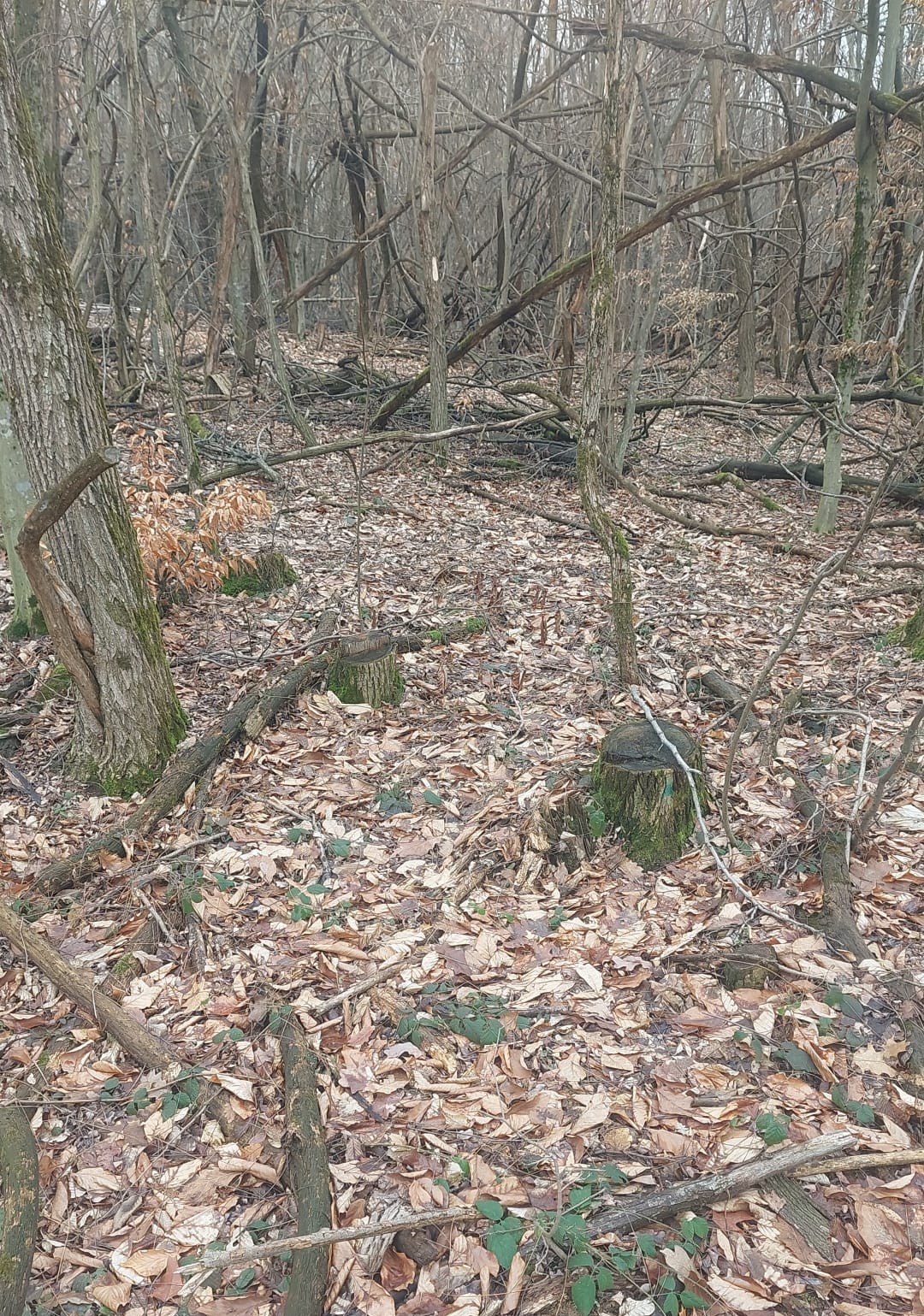 3d1109da-7fd8-41ea-938c-cc718c51128a