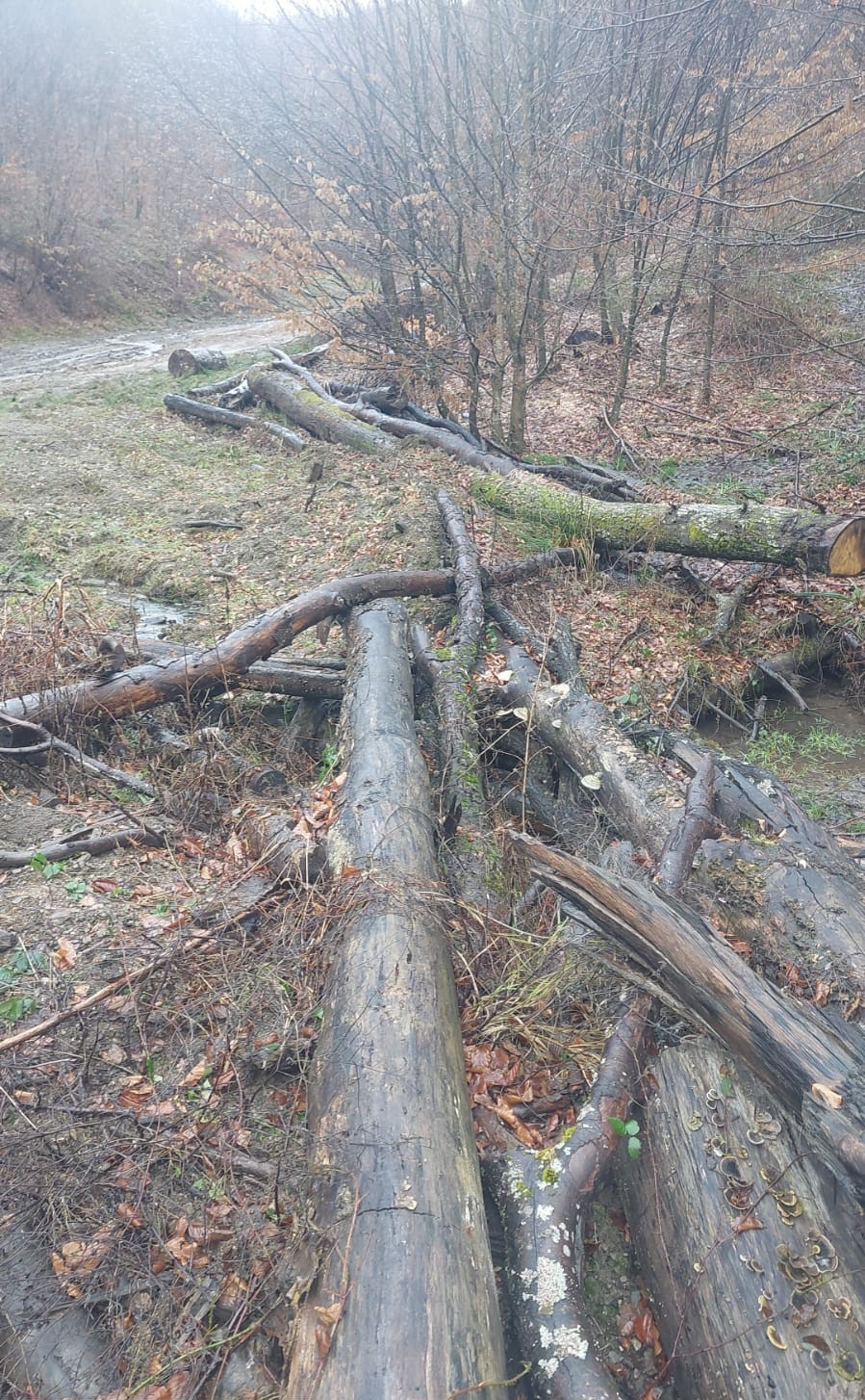 af56076b-c73a-4a14-80ca-385602c671d3