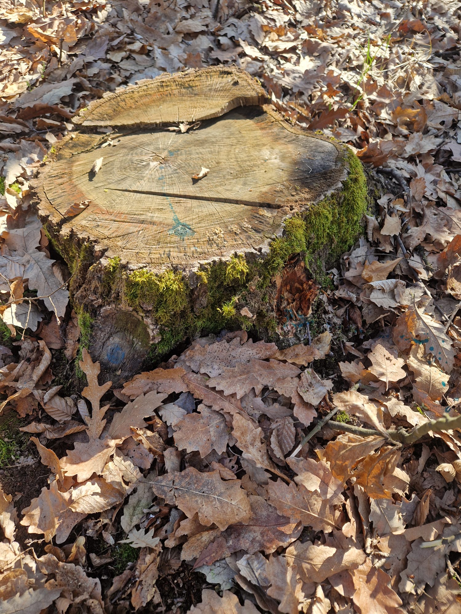 c59dd7eb-4c26-438c-934b-85f8c771c904