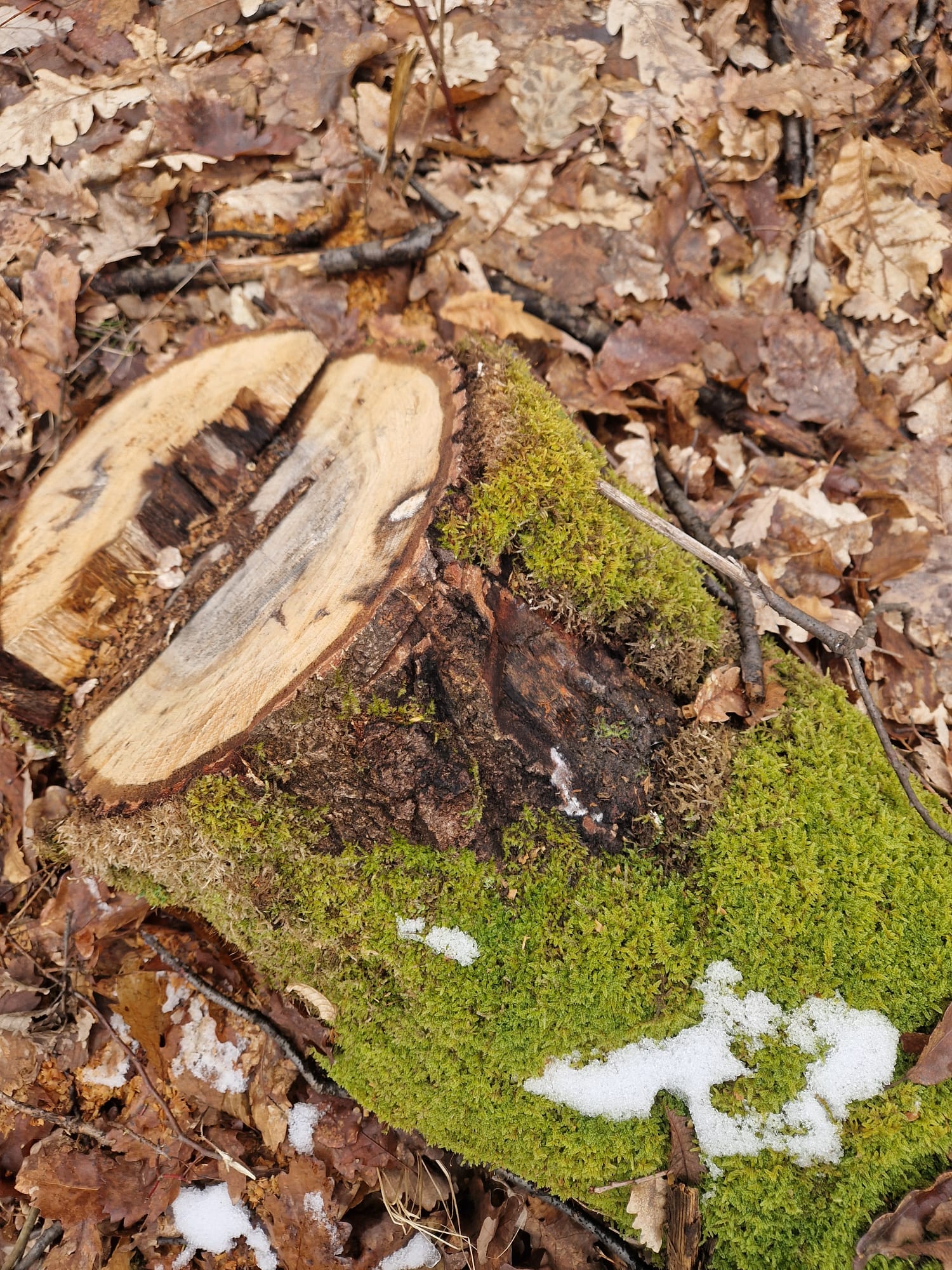 e7e13f09-3a99-4fdd-b14b-9b61f2a1943b