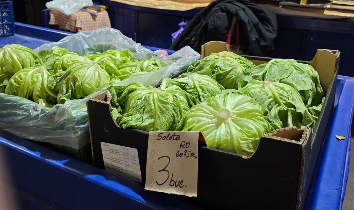 WhatsApp Image 2026-03-20 at 09.50.36 (1)