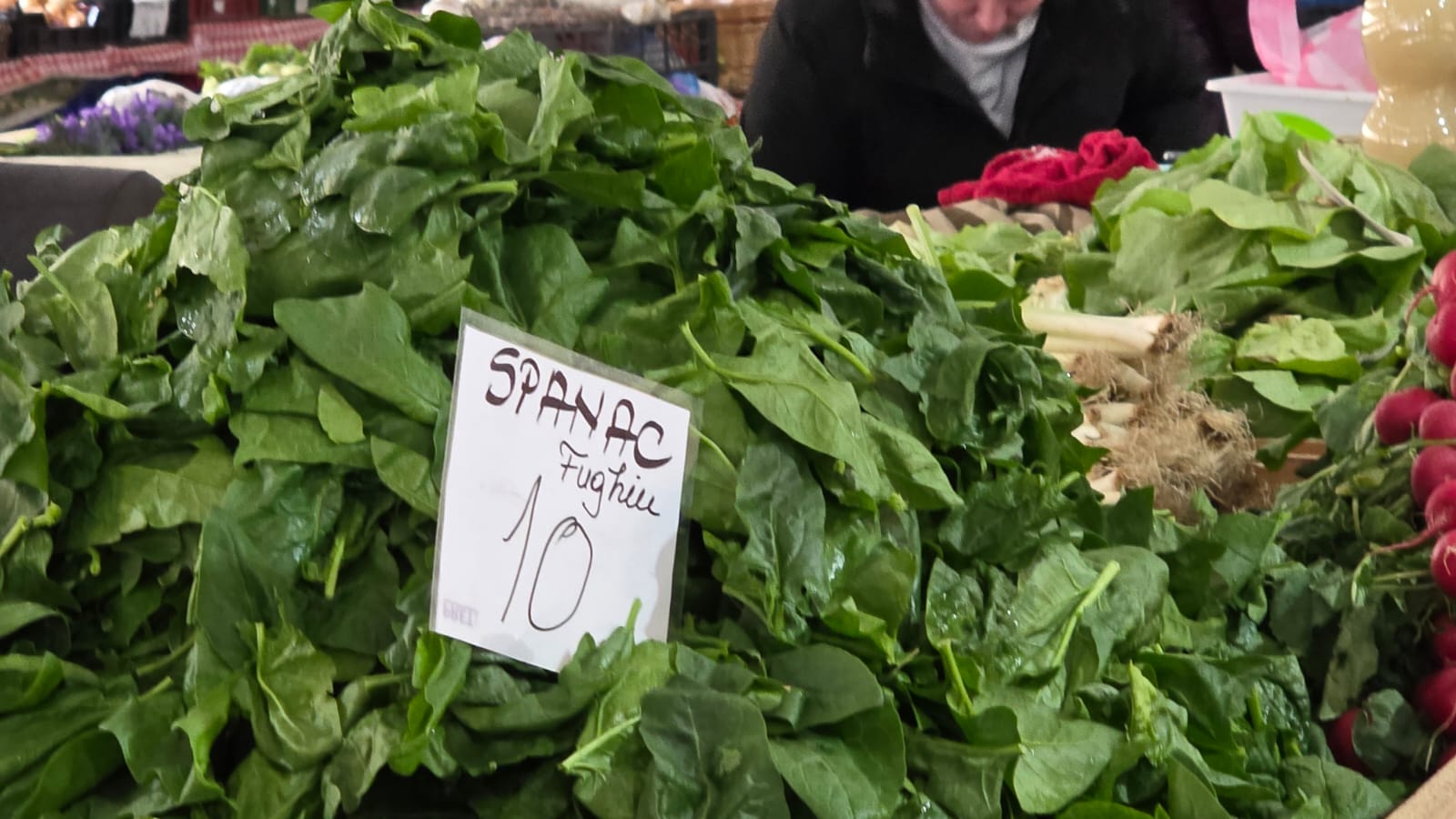 WhatsApp Image 2026-03-20 at 09.50.37