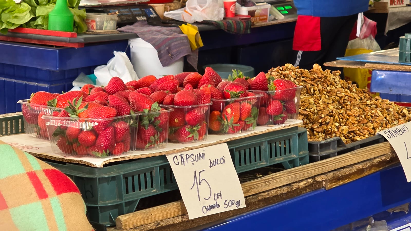 WhatsApp Image 2026-03-20 at 09.50.37 (1)